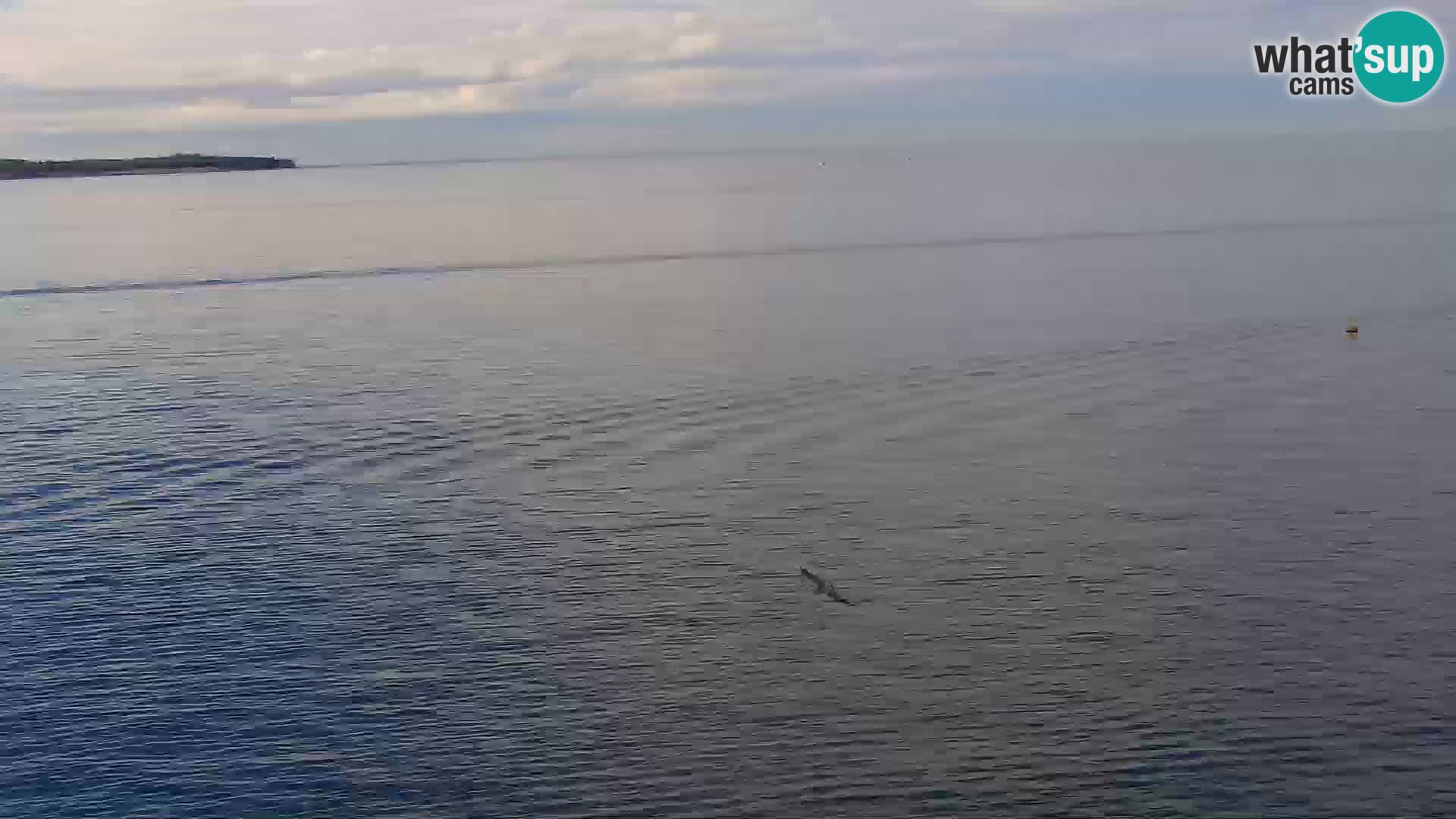 Piran Punta – Seaside Promenade