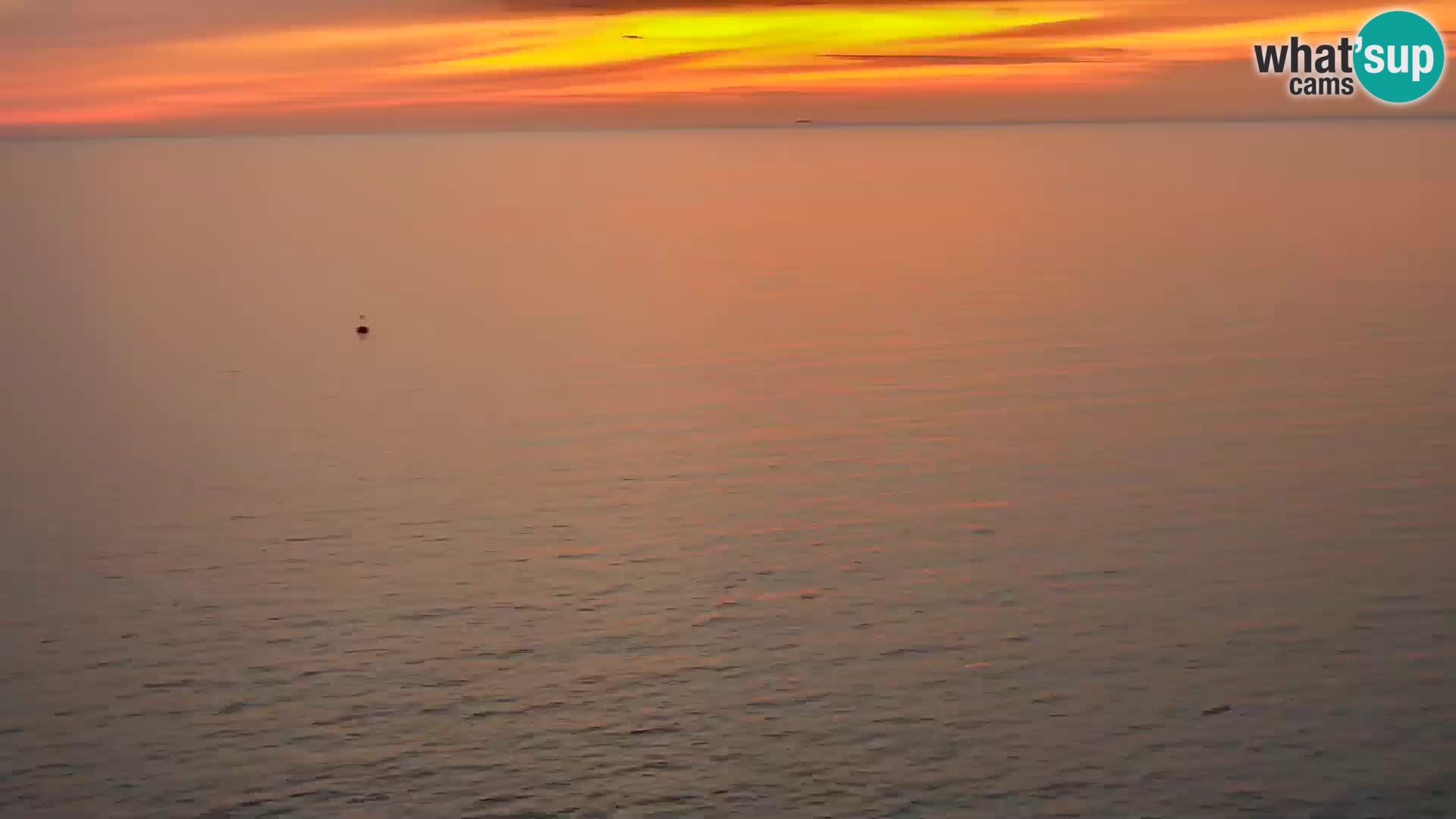 PIRAN Punta webcam | Seaside Promenade | Hotel Piran