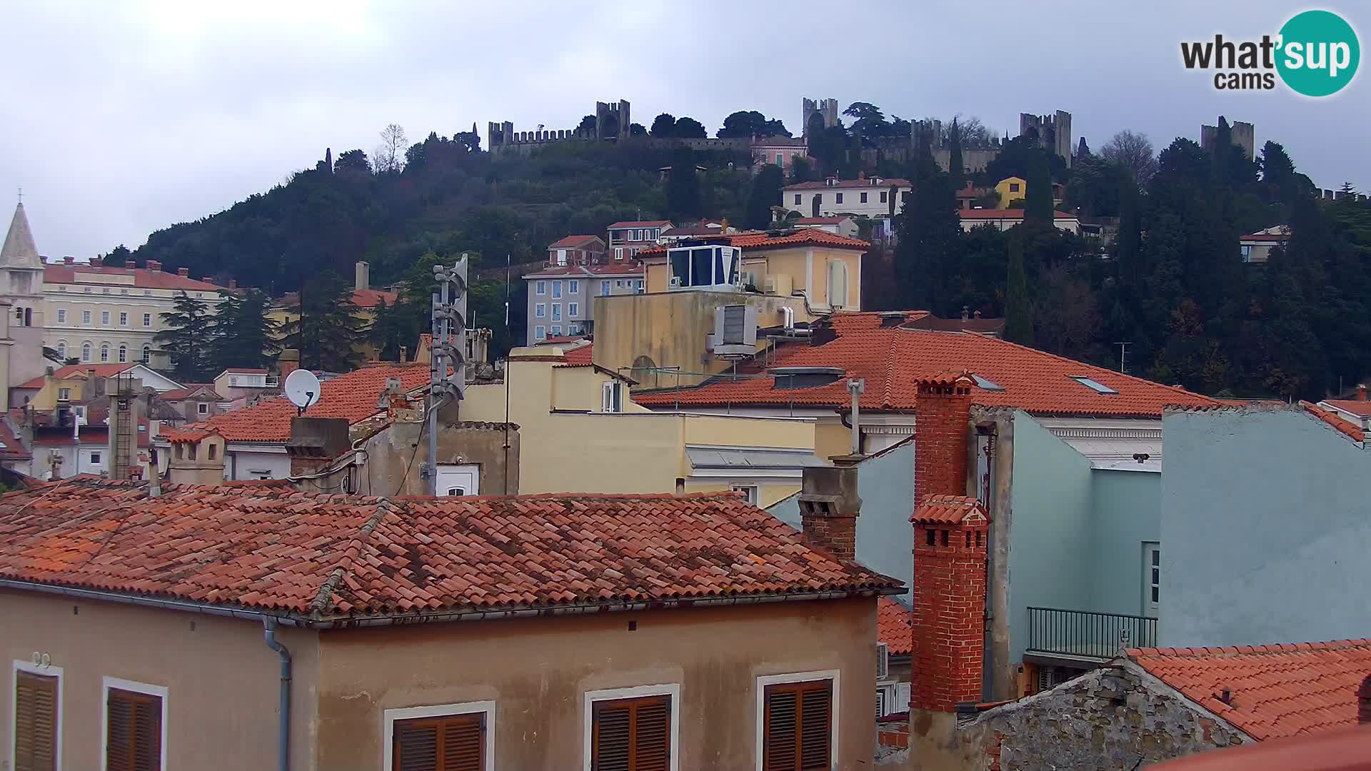 PIRAN Punta webcam | Seaside Promenade | Hotel Piran