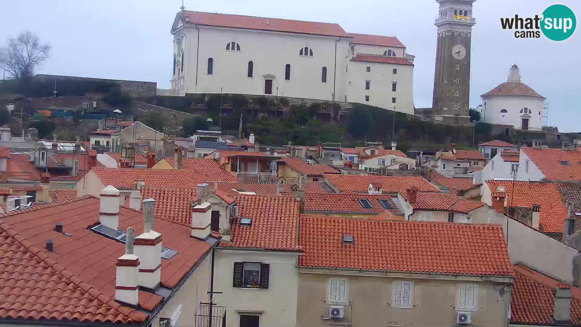 PIRAN Punta webcam | Seaside Promenade | Hotel Piran