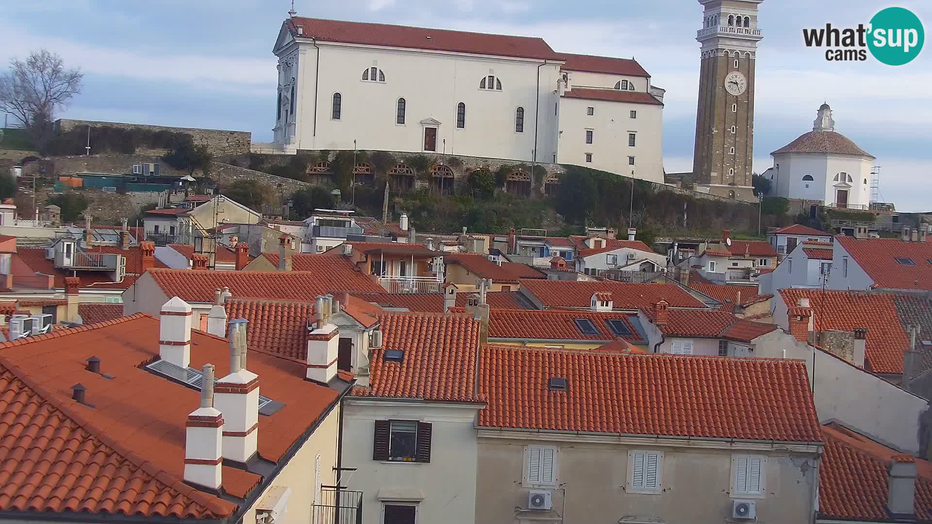 Pirano Webcam | Lungomare di Pirano | Hotel Piran