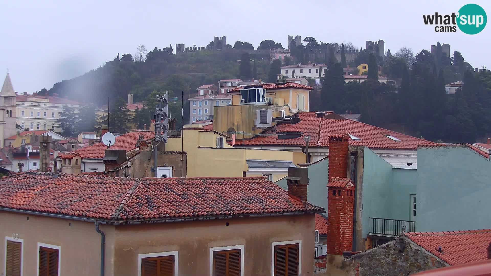Pirano Webcam | Lungomare di Pirano | Hotel Piran