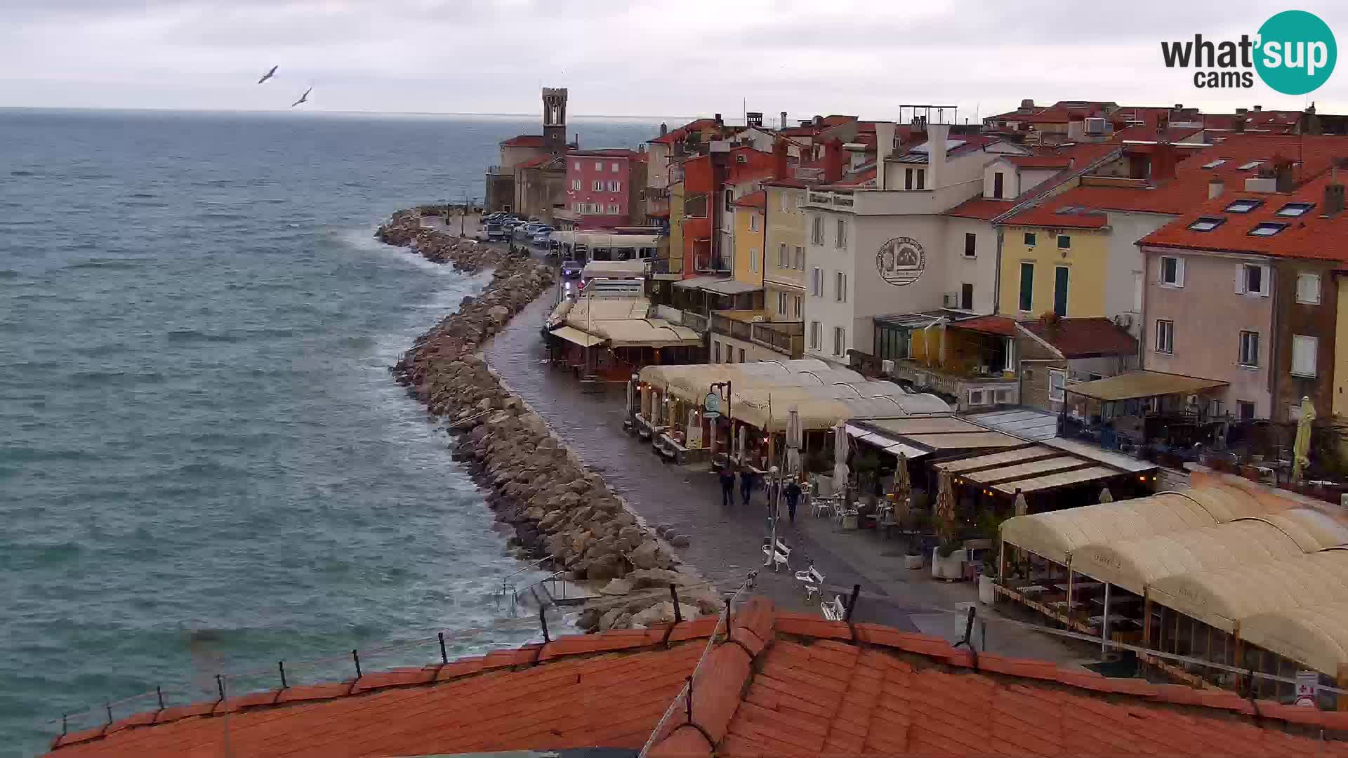 Spletna kamera Piran punta | Piransko nabrežje ¨- Hotel Piran