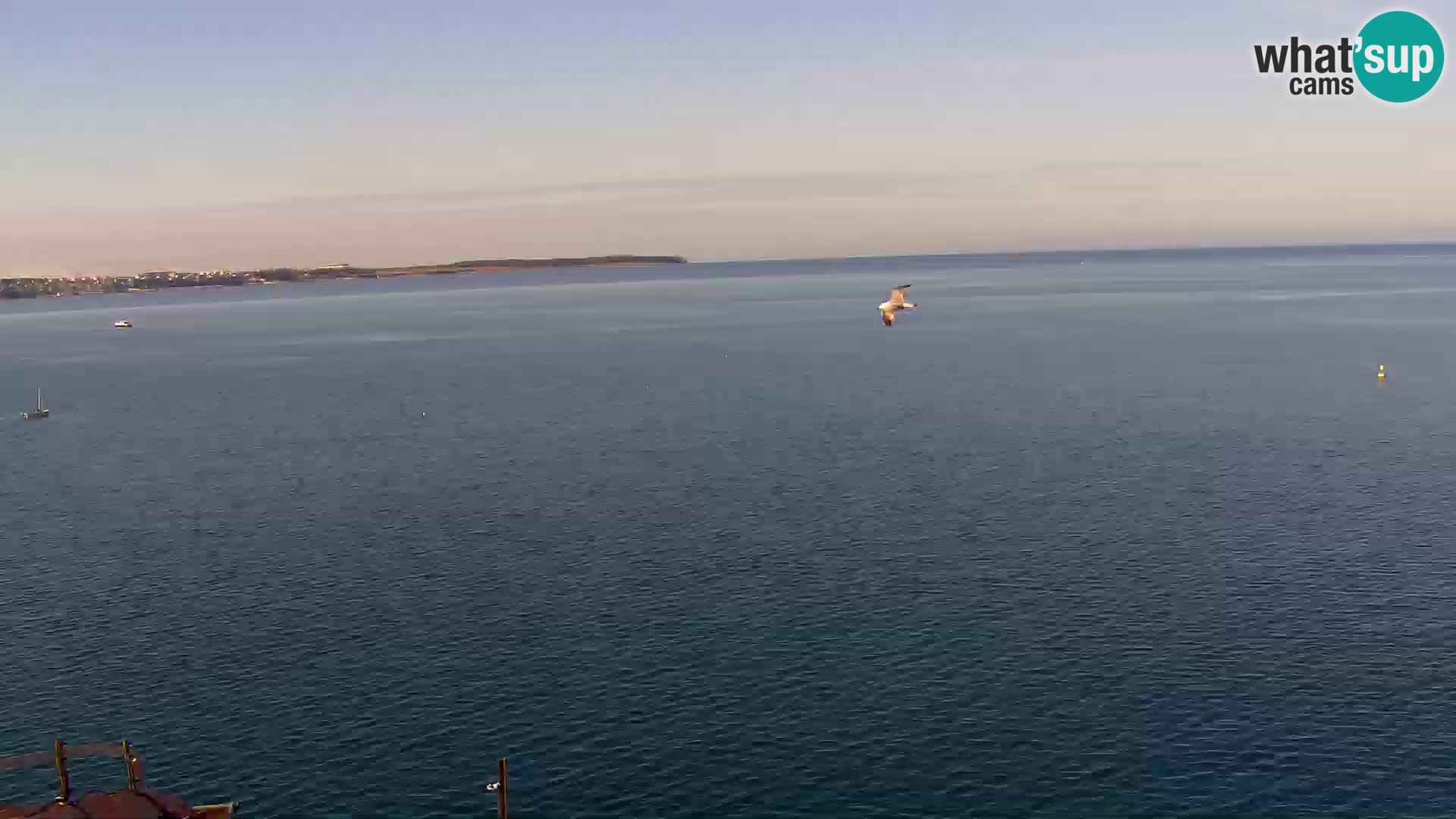 PIRAN Punta webcam | Seaside Promenade | Hotel Piran