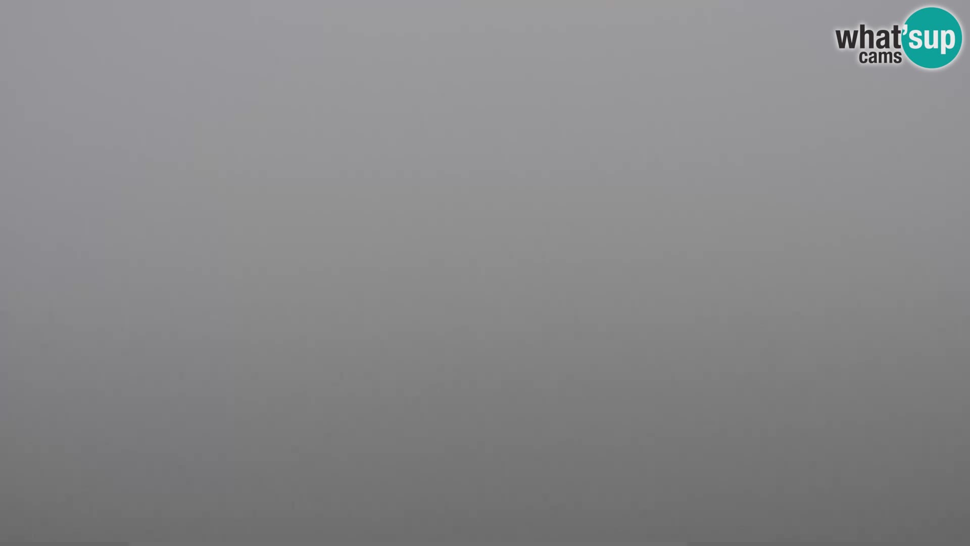 PIRAN Punta webcam | Seaside Promenade | Hotel Piran