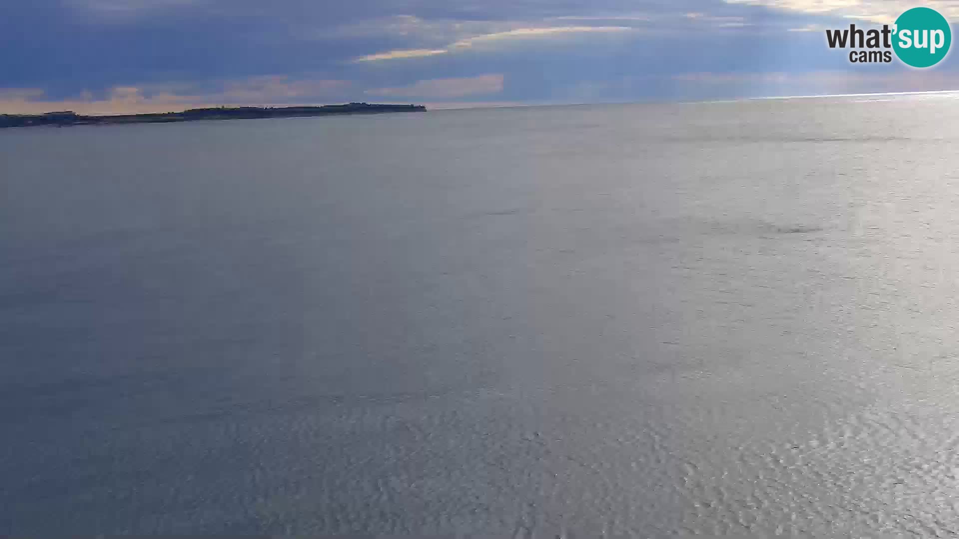 PIRAN Punta webcam | Seaside Promenade | Hotel Piran
