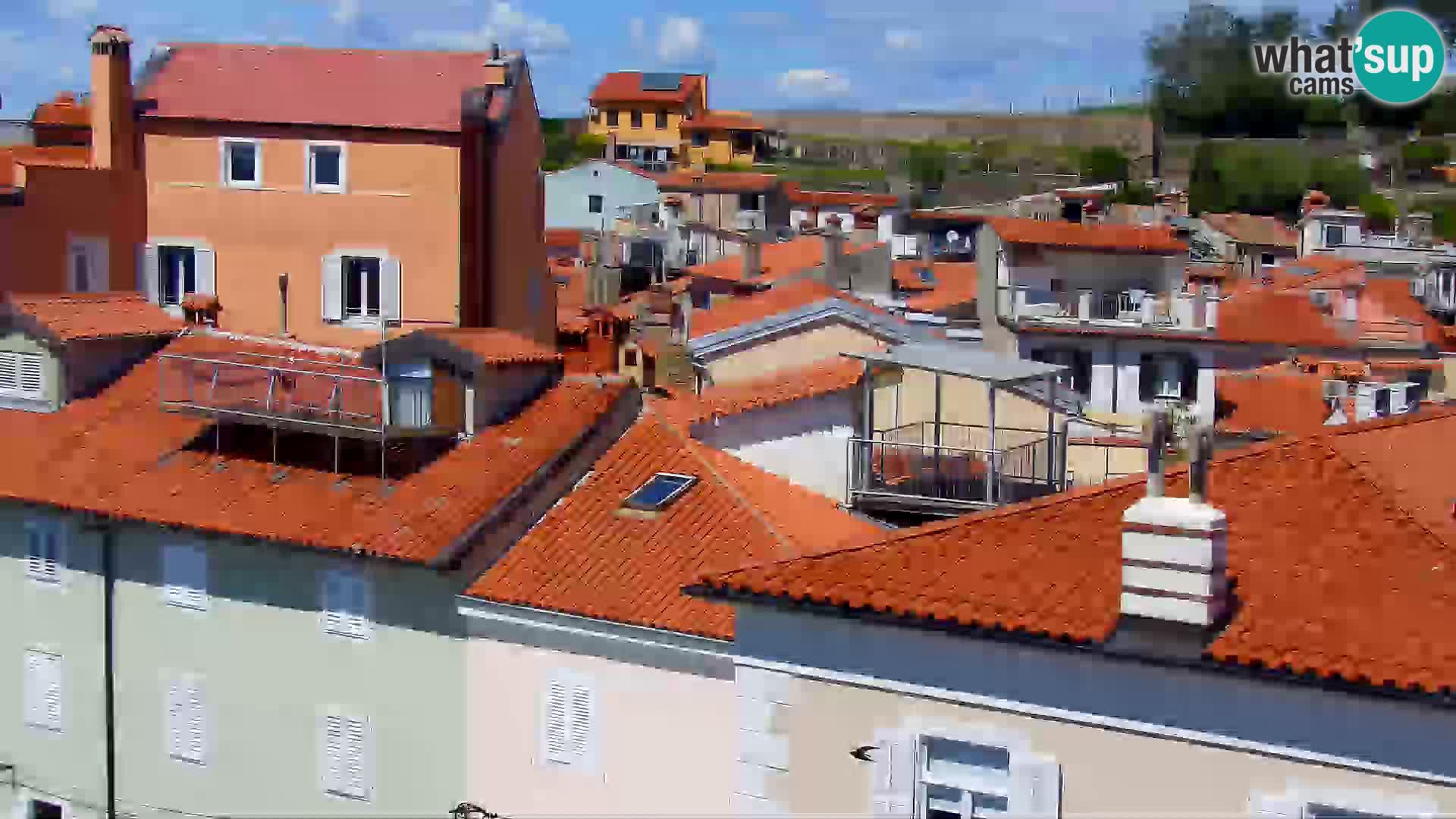 Piransko nabrežje