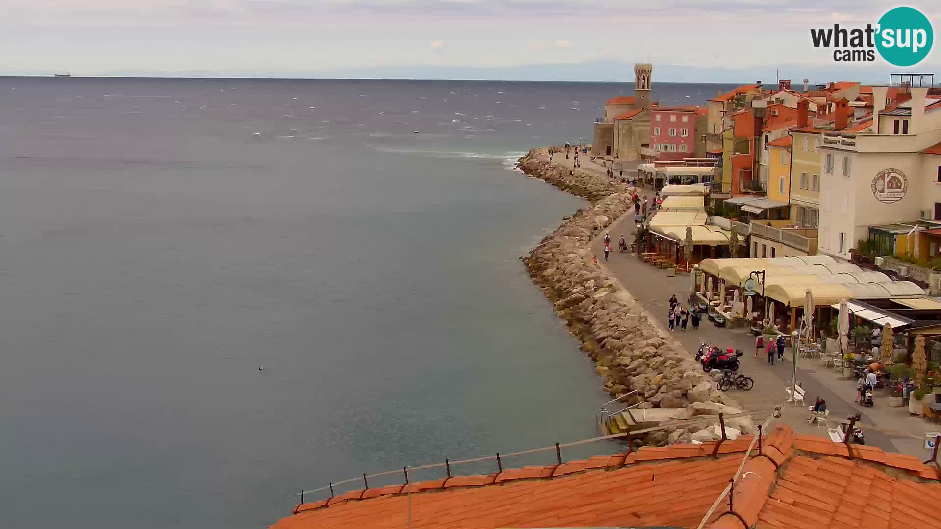 Pirano Webcam | Lungomare di Pirano | Hotel Piran