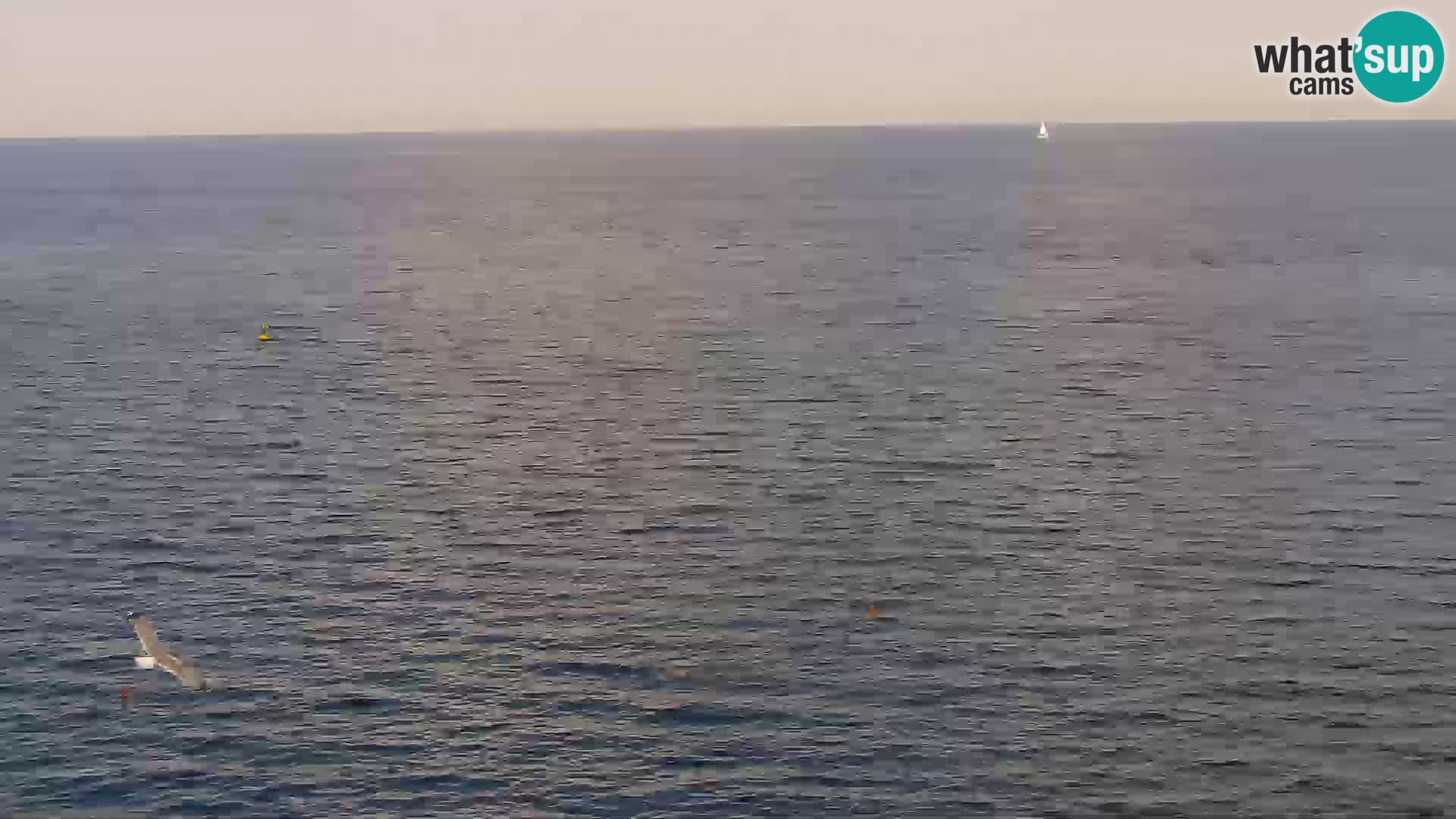 PIRAN Punta webcam | Seaside Promenade | Hotel Piran