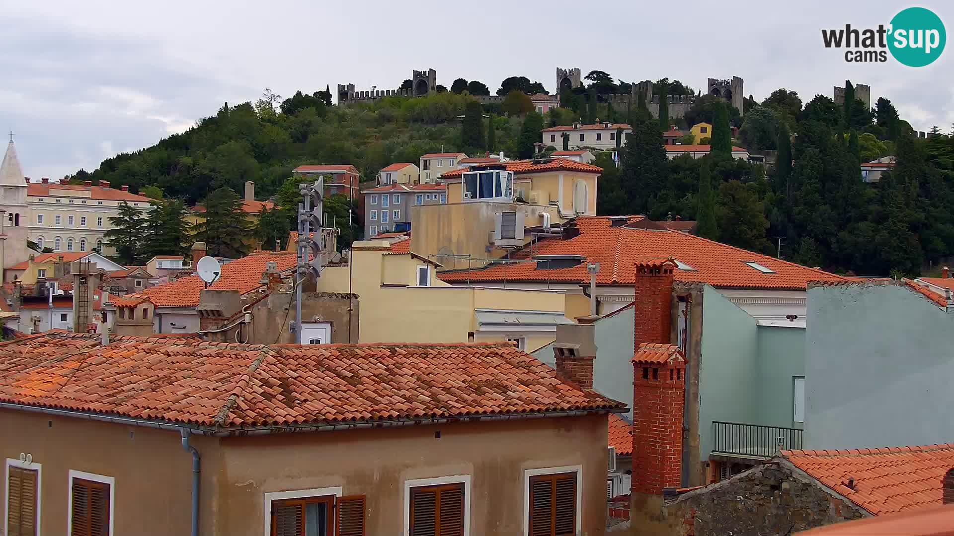 Pirano Webcam | Lungomare di Pirano | Hotel Piran