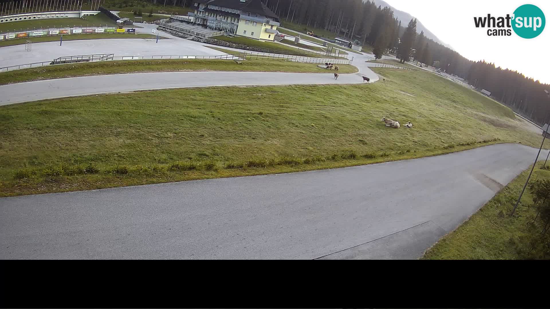 Sportski Centar Pokljuka – Rudno Polje