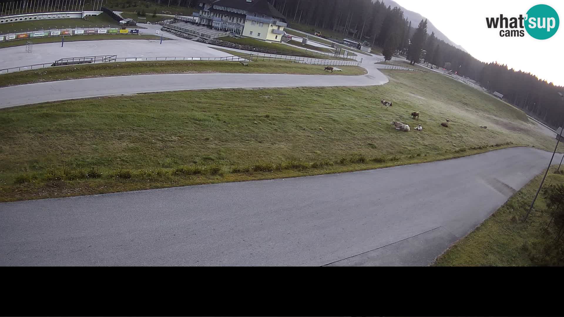 Centre sportif Pokljuka – Rudno Polje