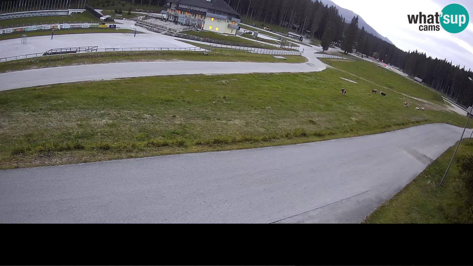 Centro Sportivo Pokljuka – Rudno Polje
