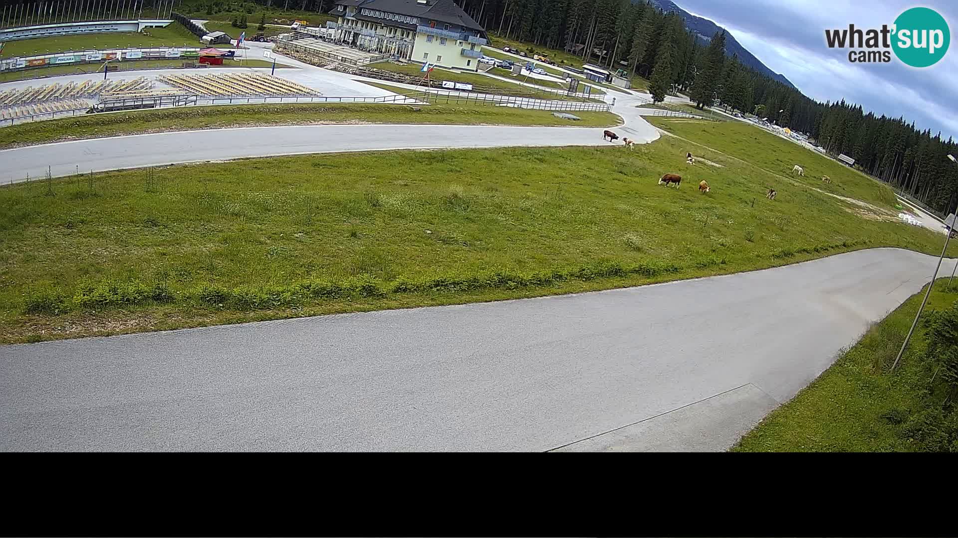 Športni Center Pokljuka – Rudno Polje