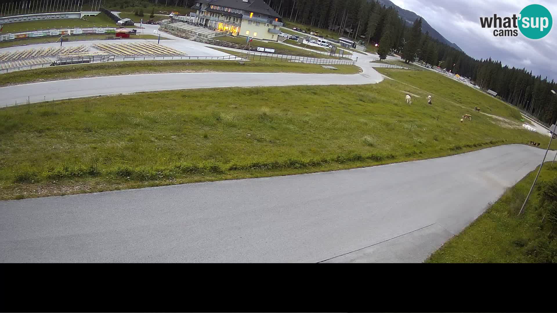 Sports Centre Pokljuka – Rudno Polje
