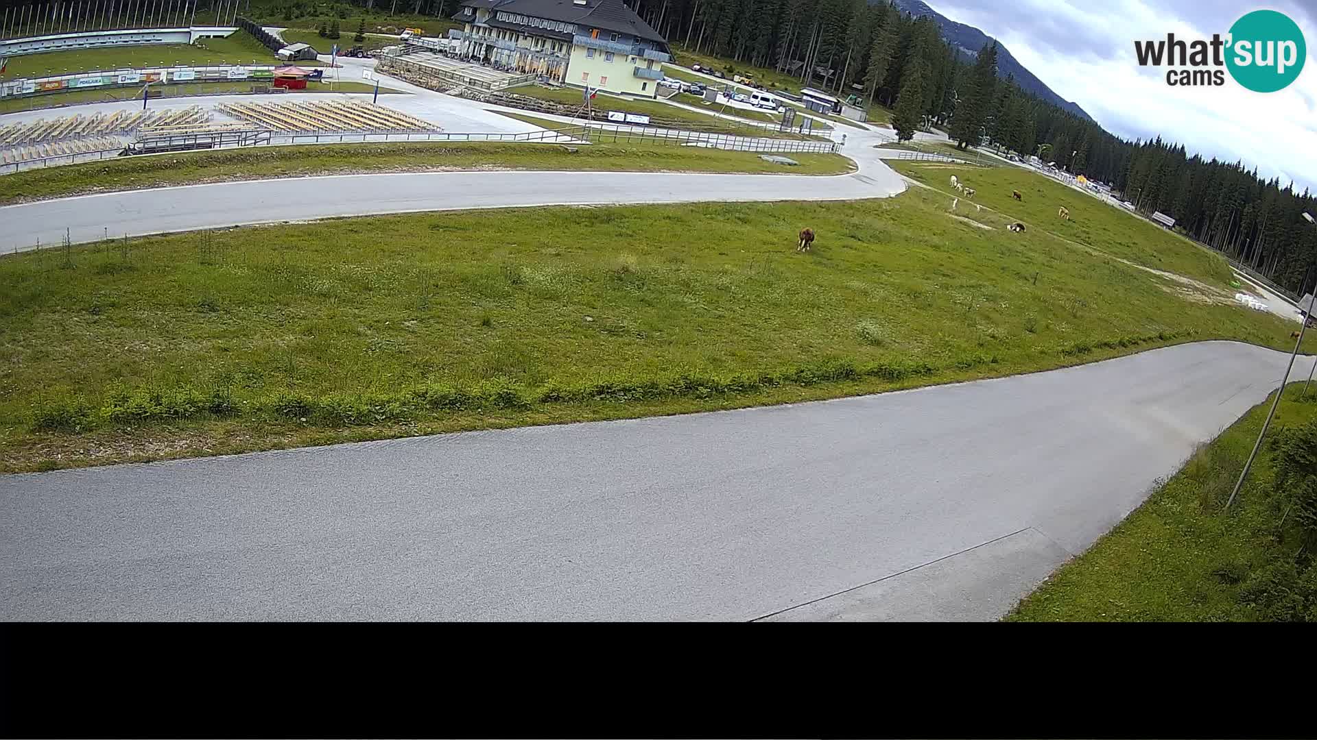 Centro Sportivo Pokljuka – Rudno Polje