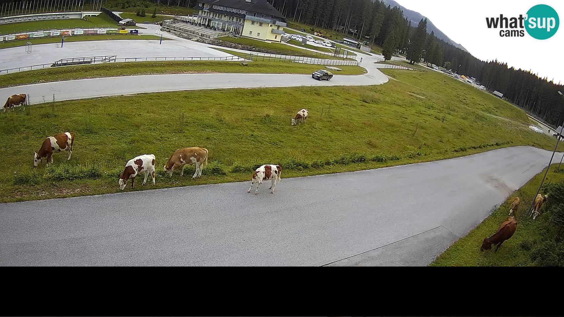 Sportski Centar Pokljuka – Rudno Polje