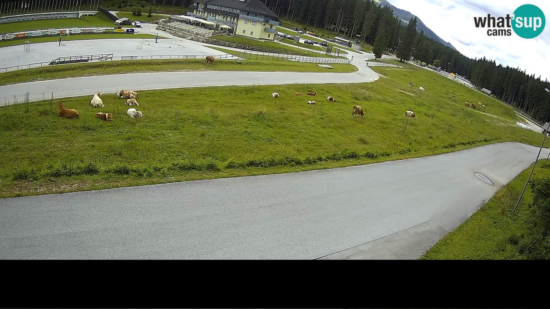 Polideportivo Pokljuka – Rudno Polje
