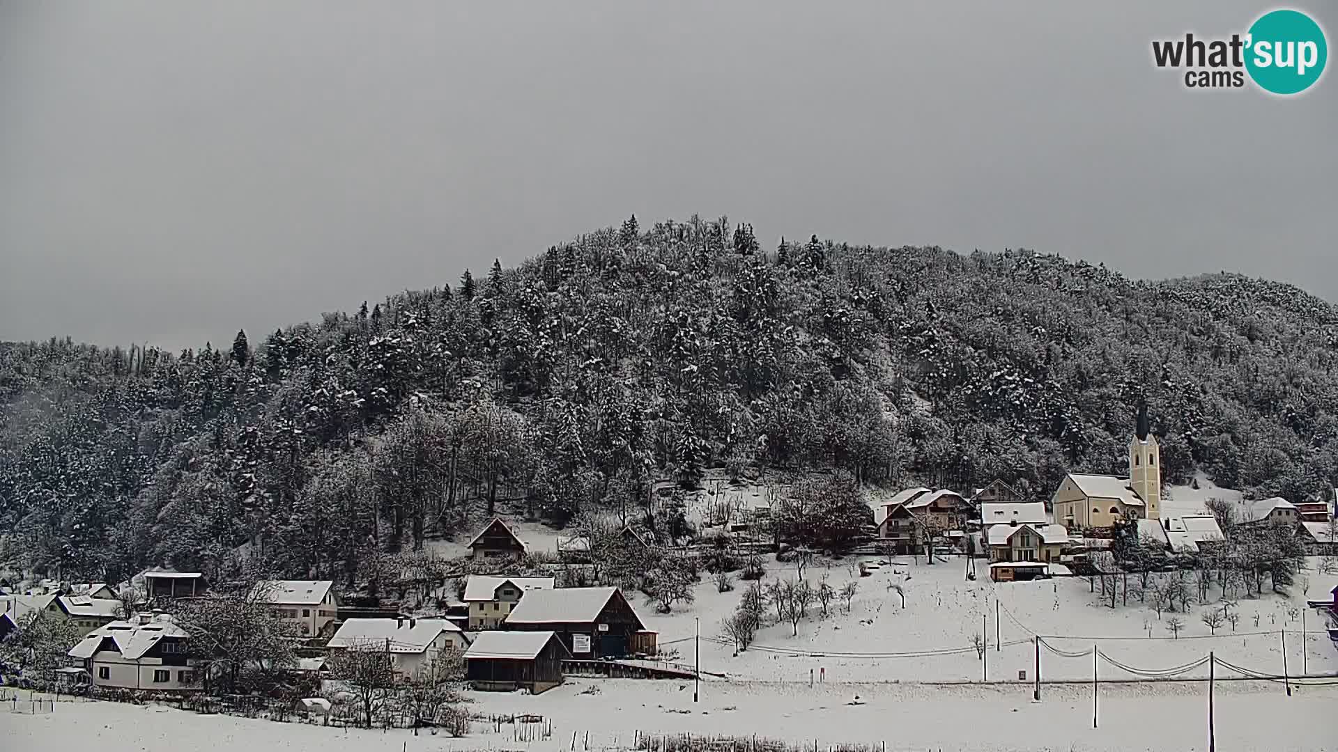 Spletna kamera Polhov Gradec