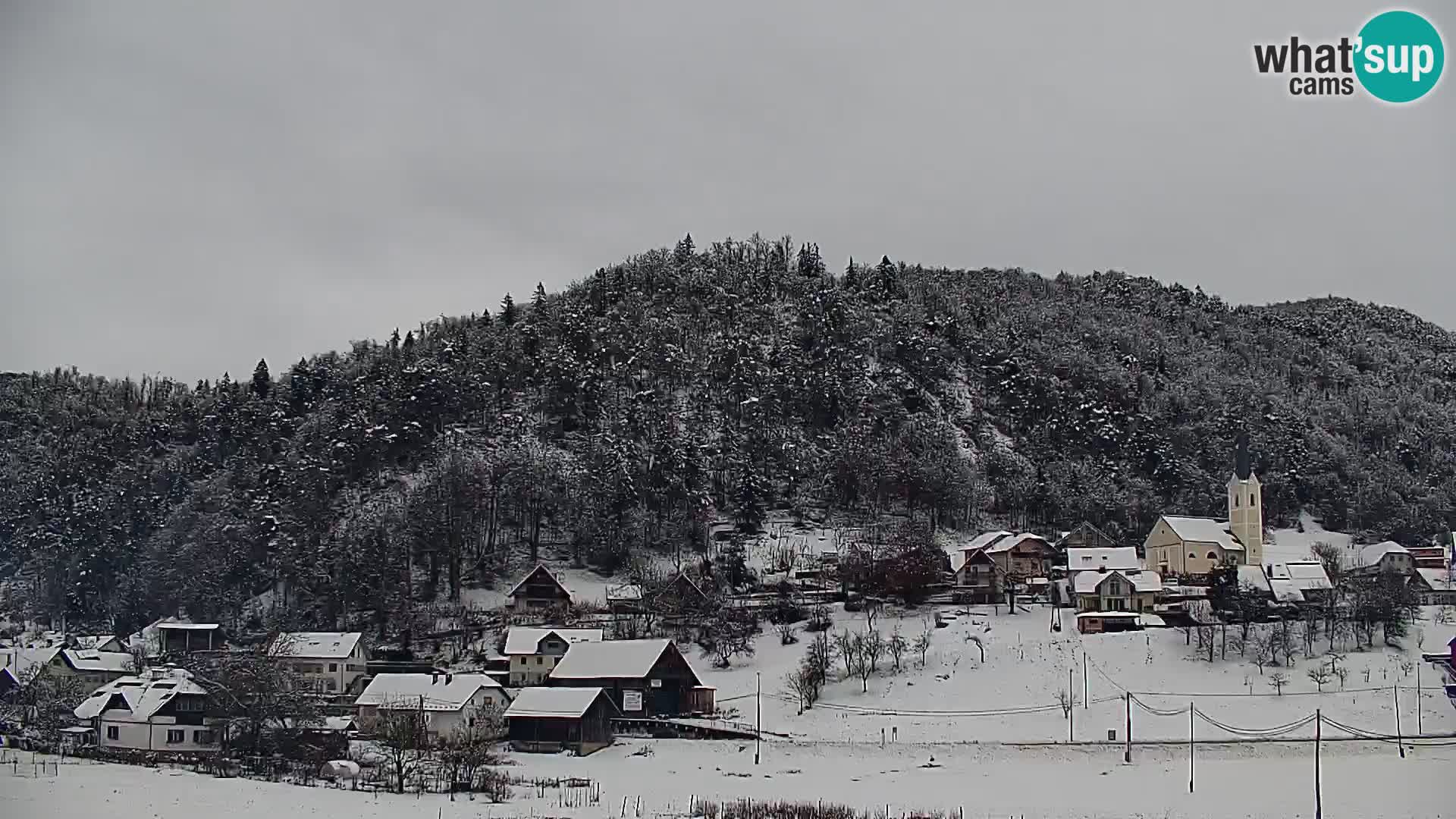 Spletna kamera Polhov Gradec