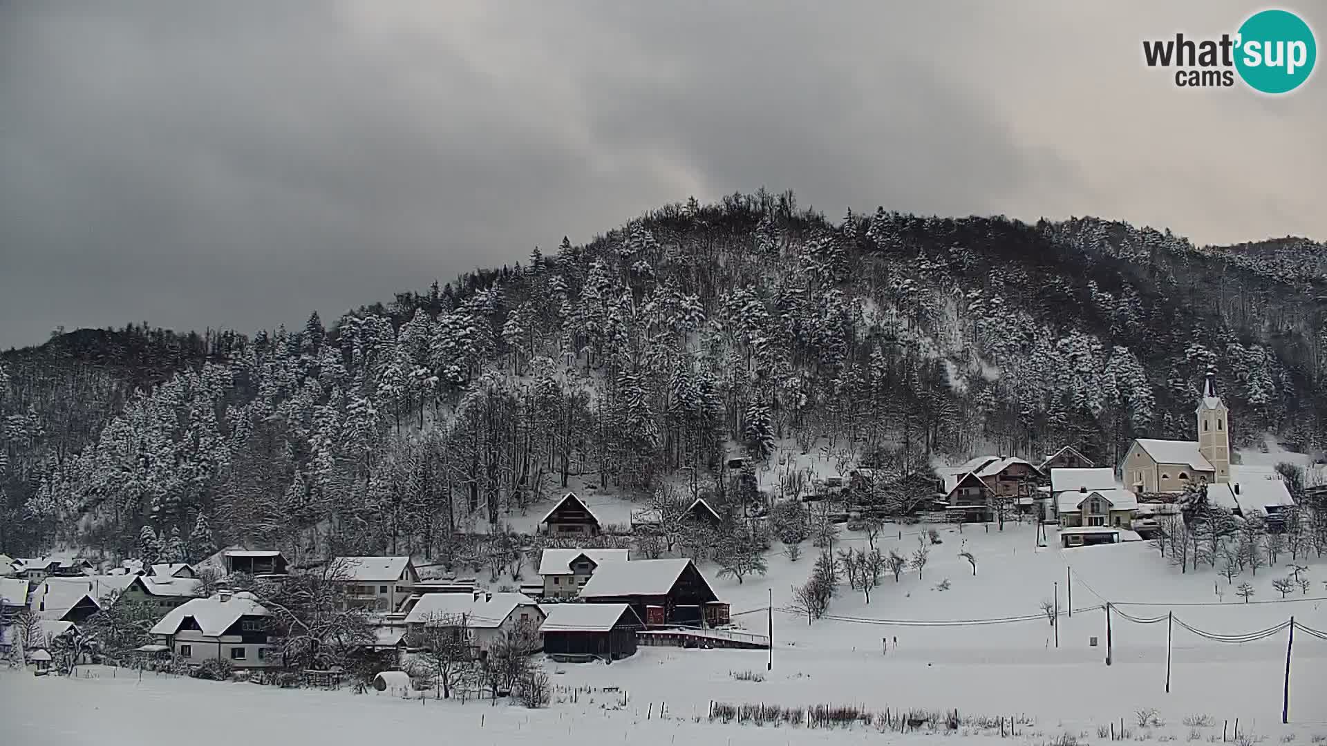 Live Webcam Polhov Gradec – Slovenia