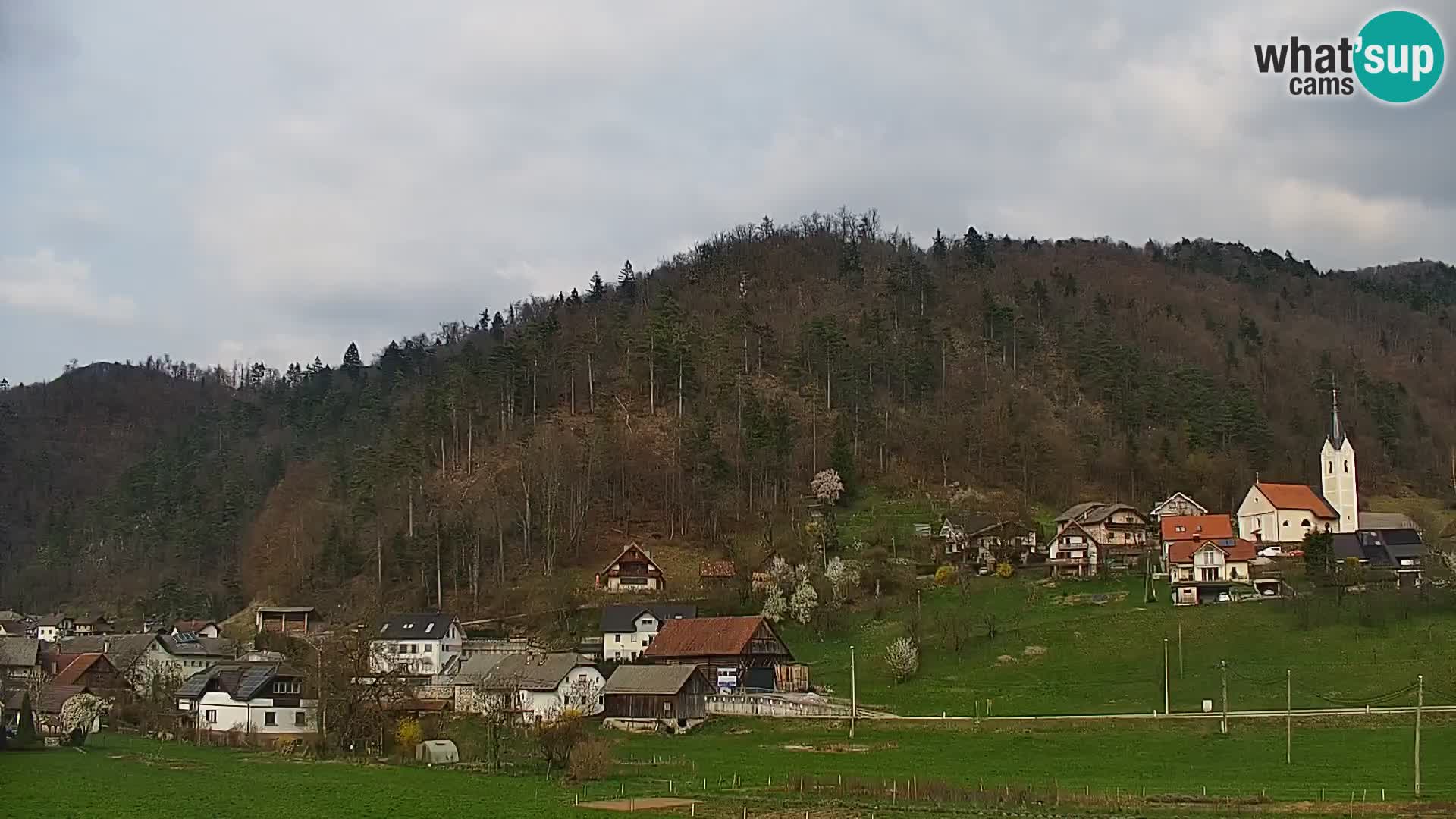 Live Webcam Polhov Gradec – Slovenia