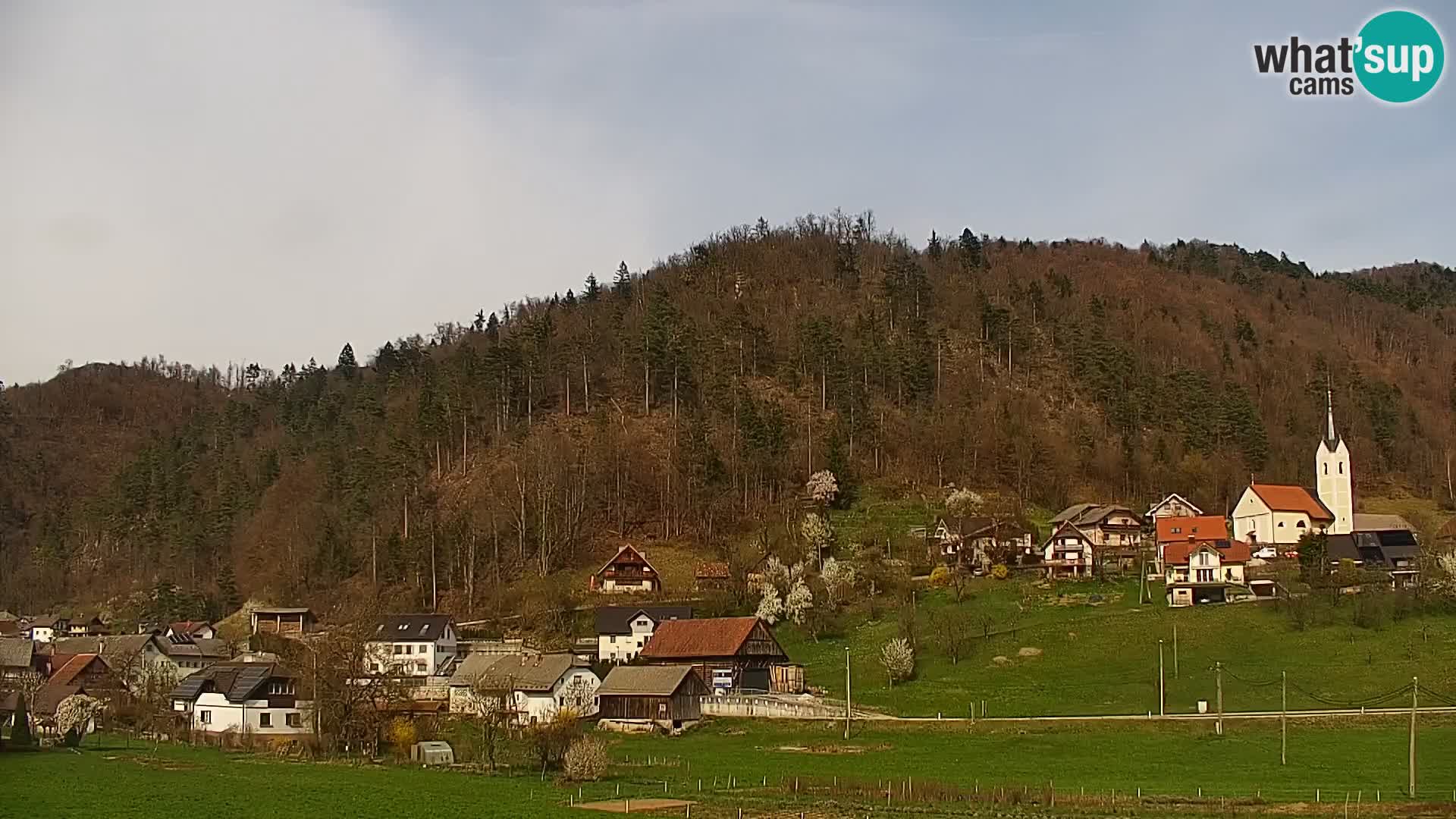 Webcam en vivo Polhov Gradec – Eslovenia