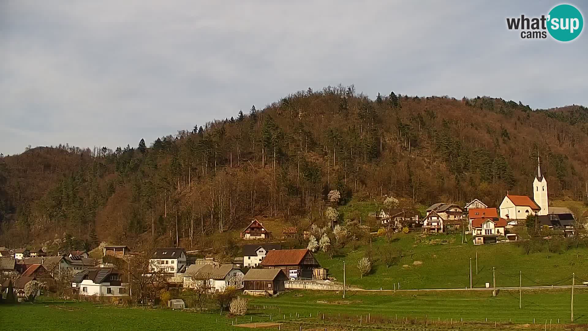Webcam en vivo Polhov Gradec – Eslovenia