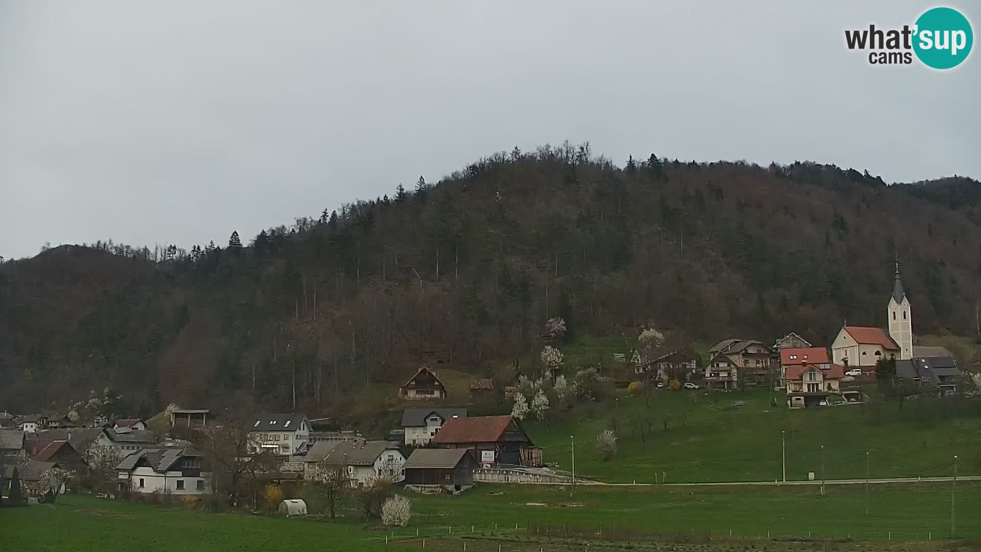 Spletna kamera Polhov Gradec