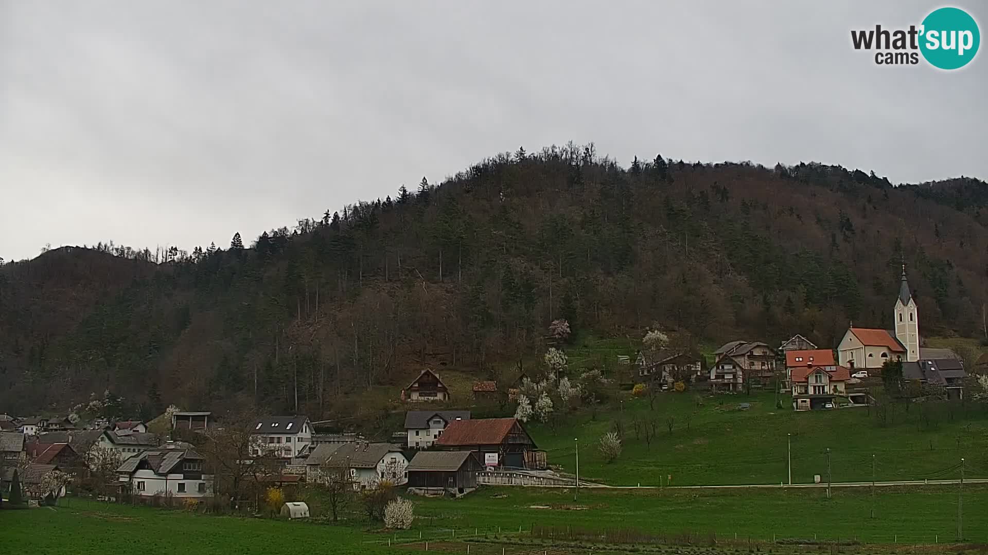 Webcam en direct Polhov Gradec – Slovénie