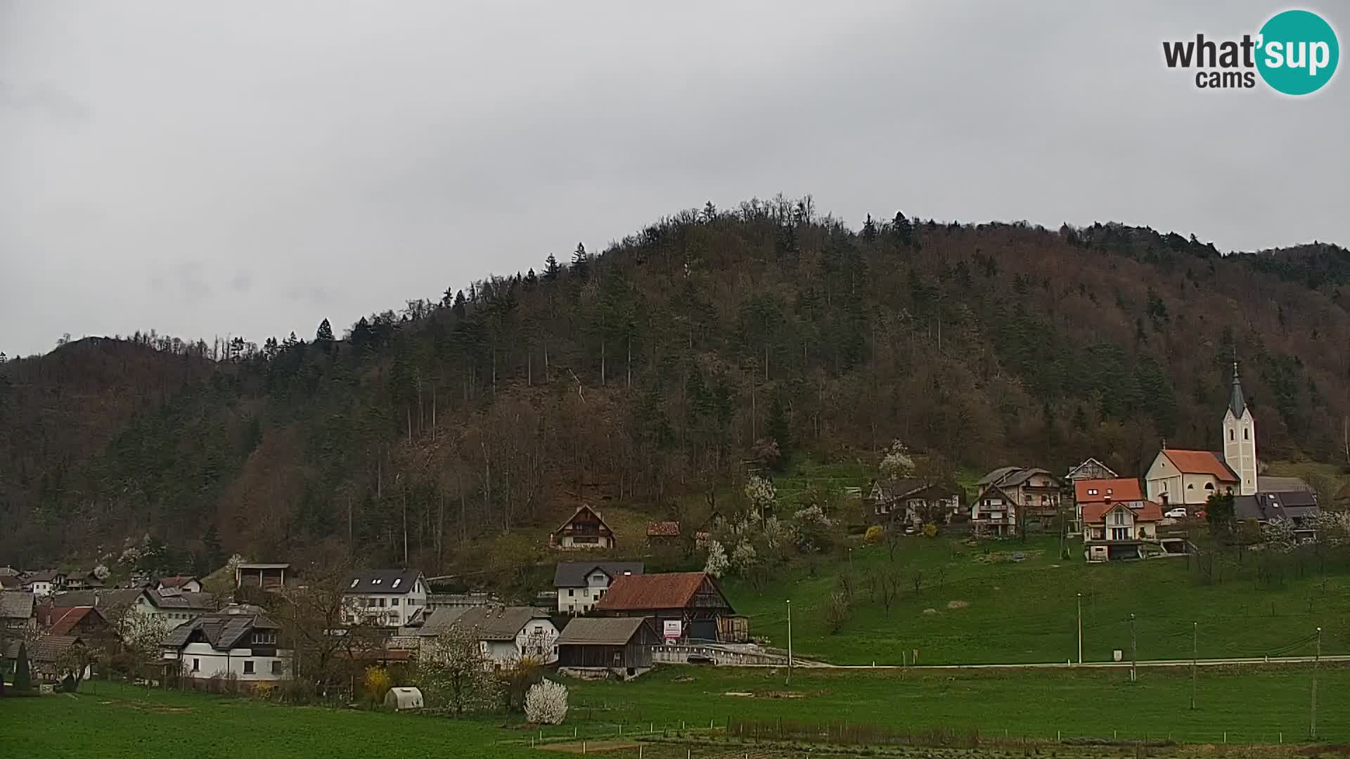 Web kamera uživo Polhov Gradec – Slovenija