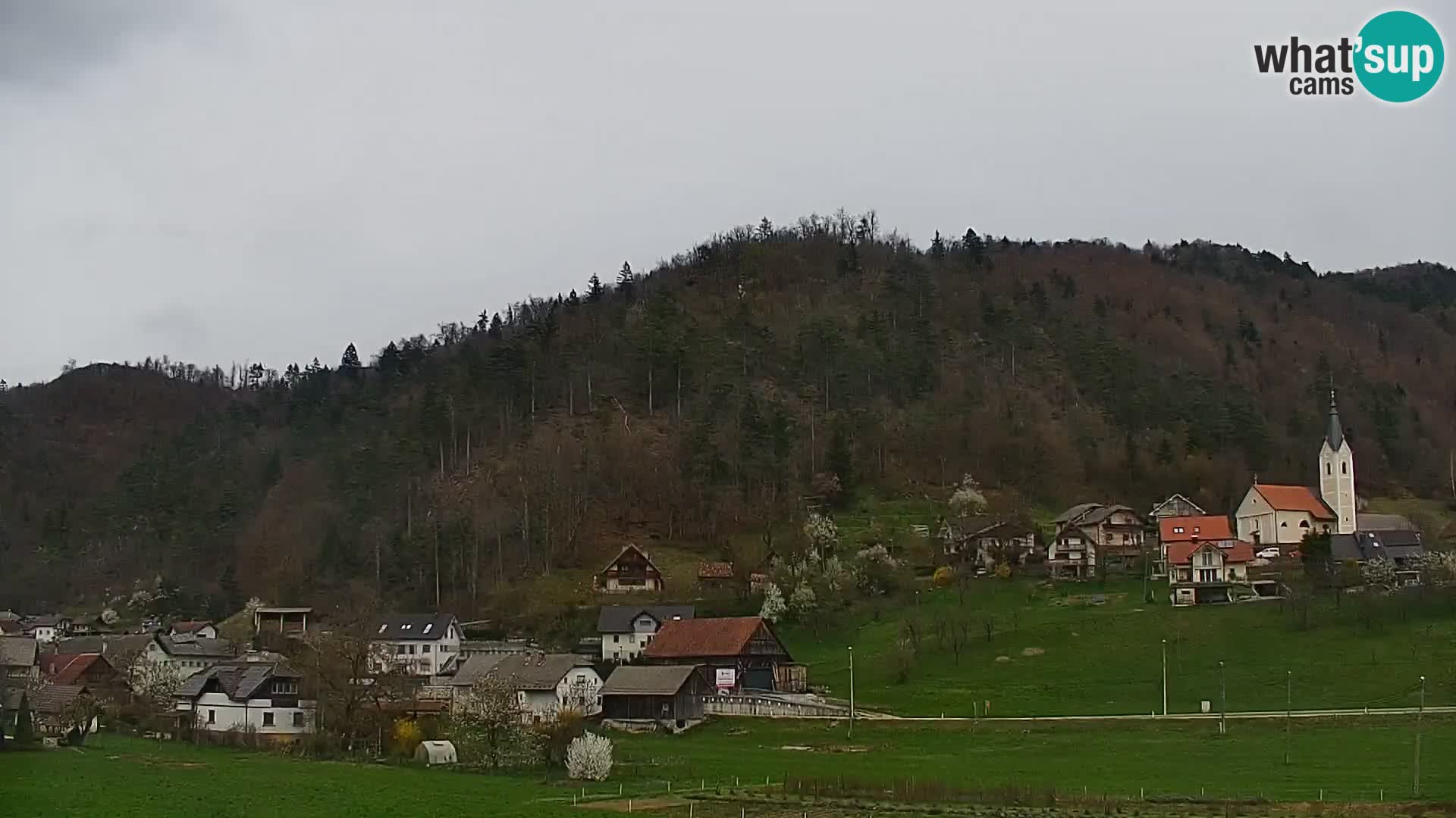 Live Webcam Polhov Gradec – Slovenia