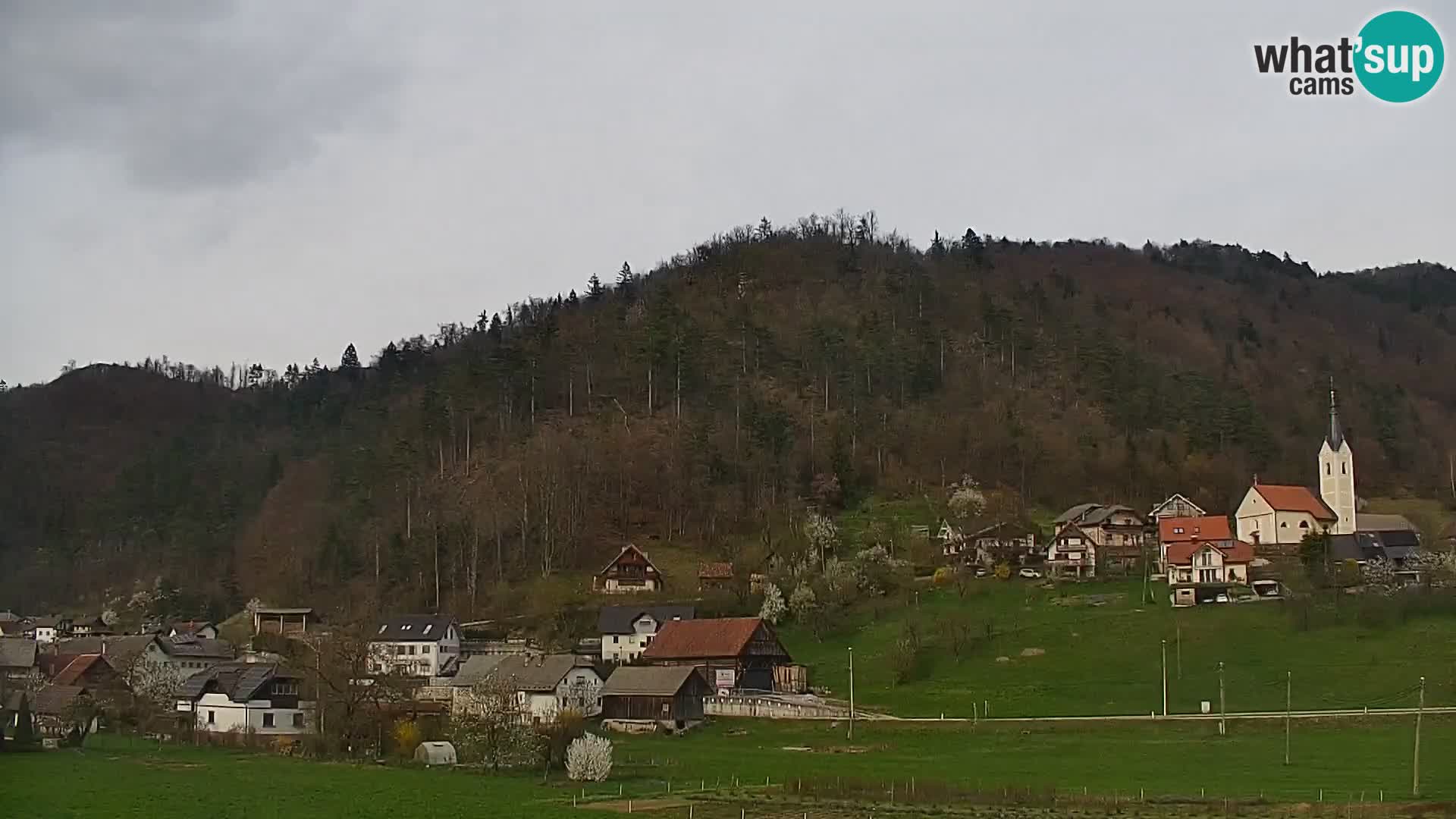 Live Webcam Polhov Gradec – Slovenia