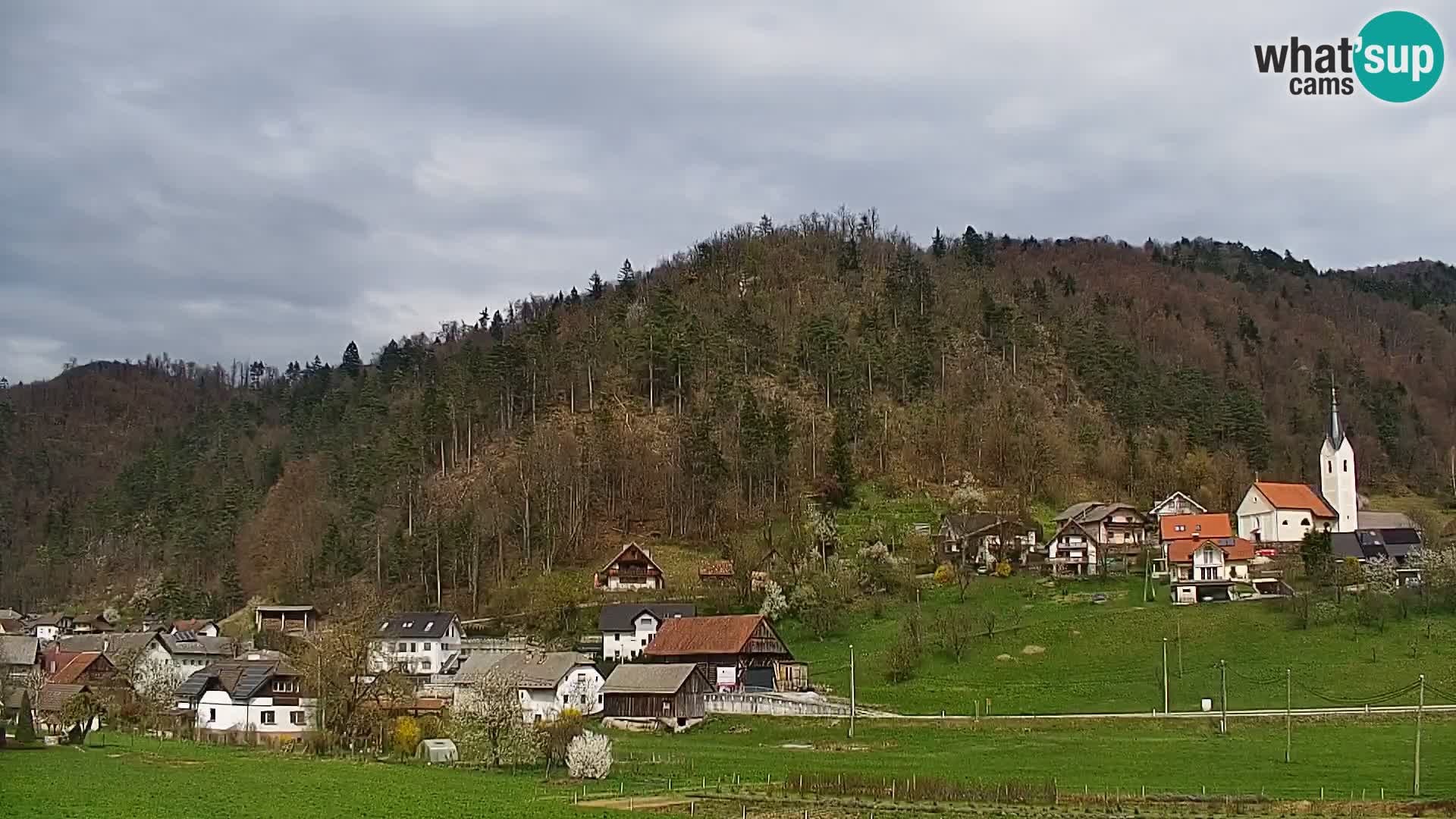Spletna kamera Polhov Gradec