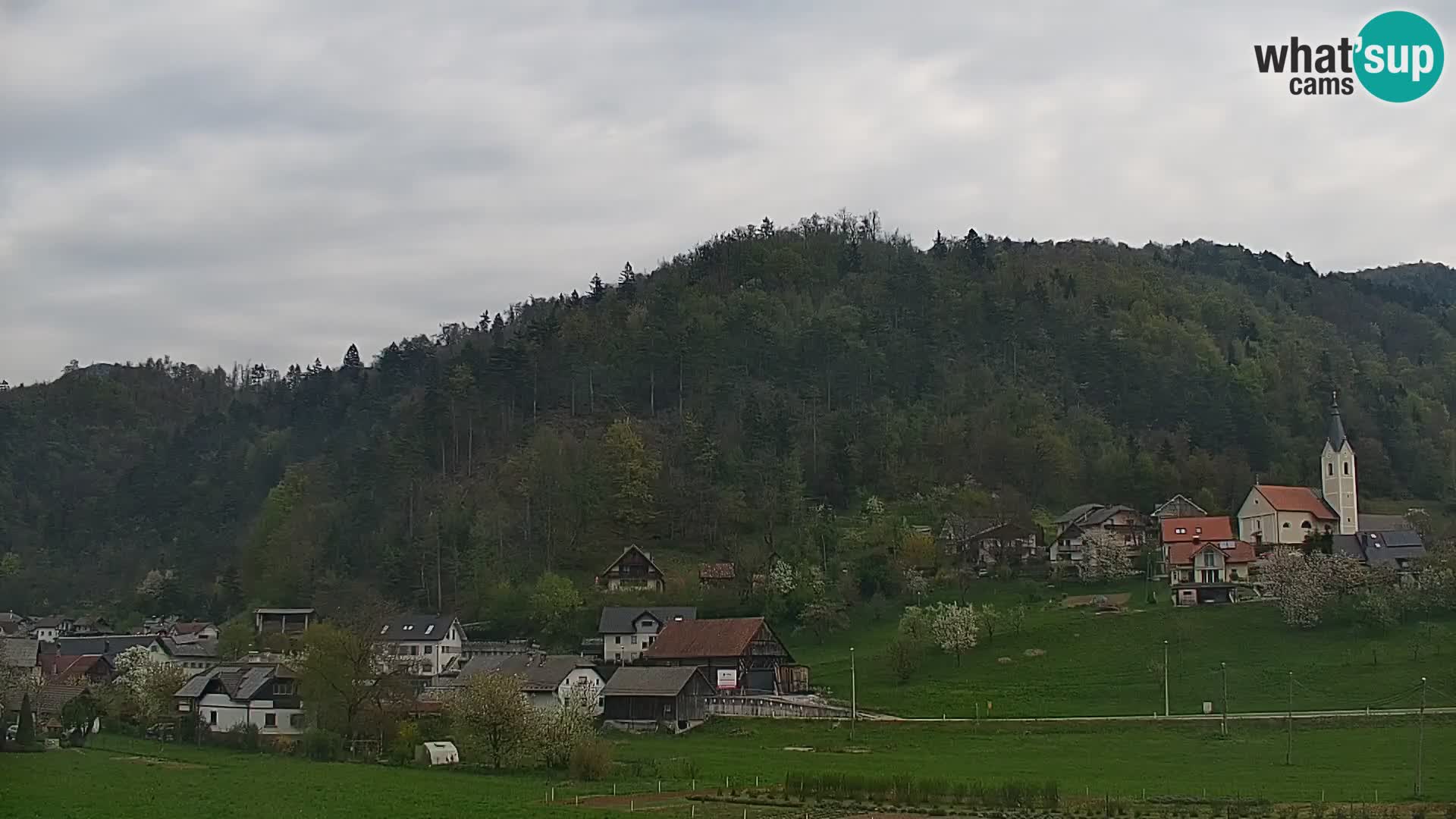 Live Webcam Polhov Gradec – Slovenia