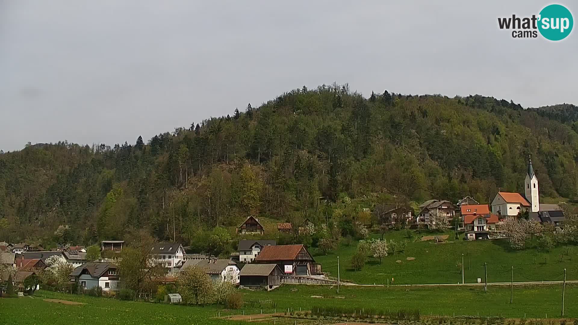 Web kamera uživo Polhov Gradec – Slovenija