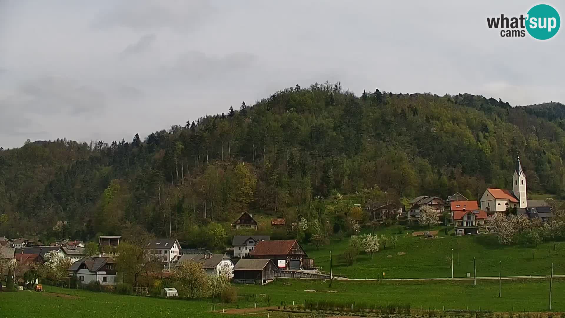 Live Webcam Polhov Gradec – Slowenien