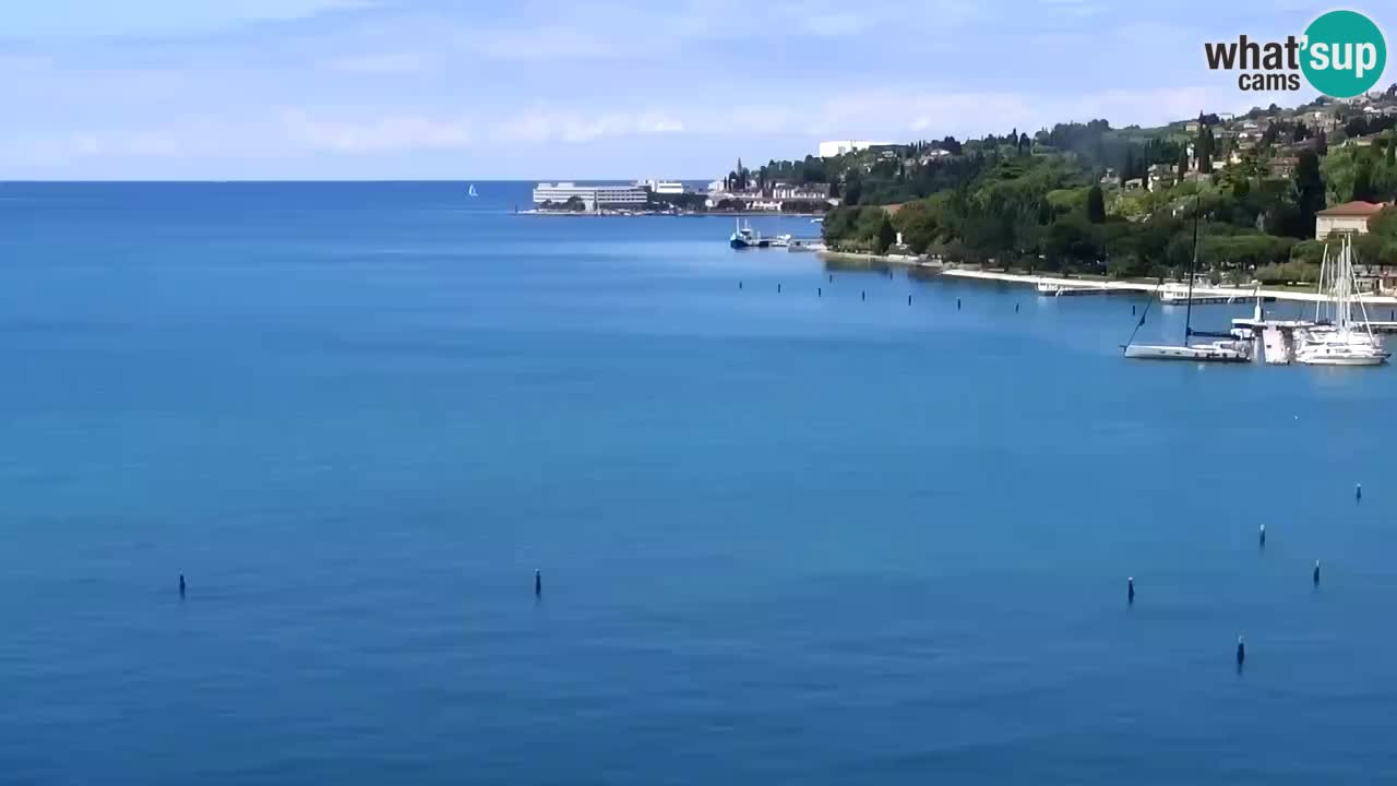 Webcam Portorož – Panorama