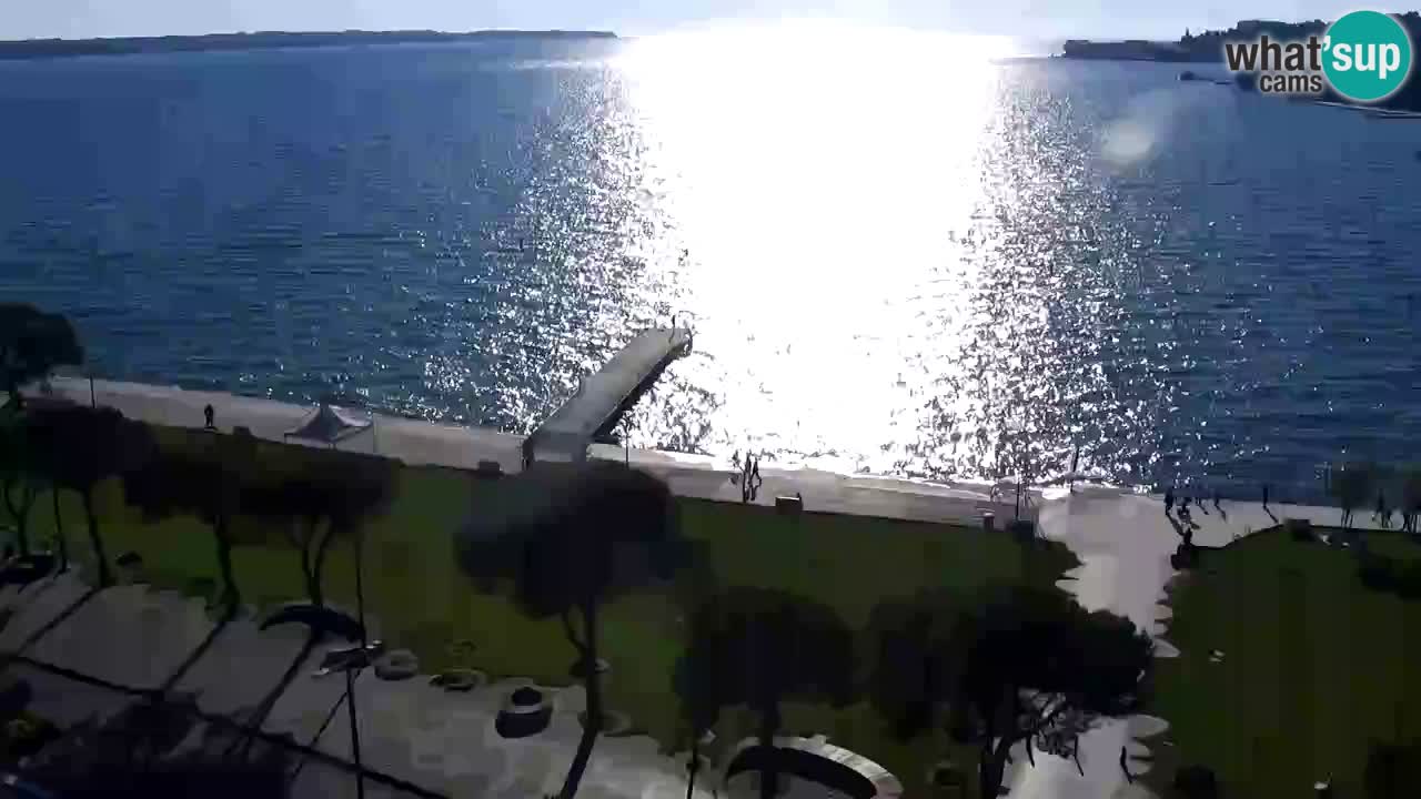 Camera en vivo Portorož – Panorama