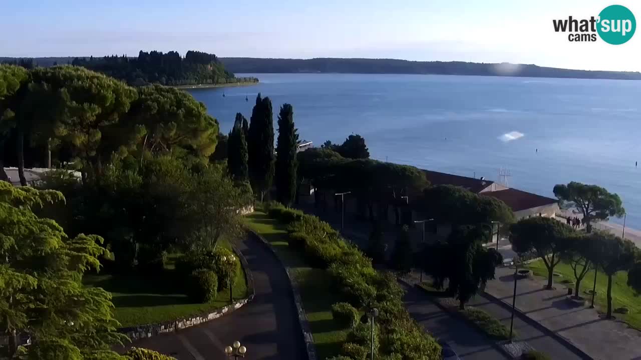 Web Kamera Portorož – Panorama