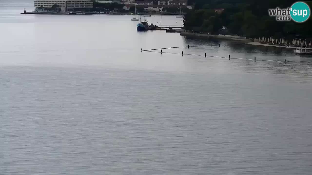 Live cam Portorož  Panorama