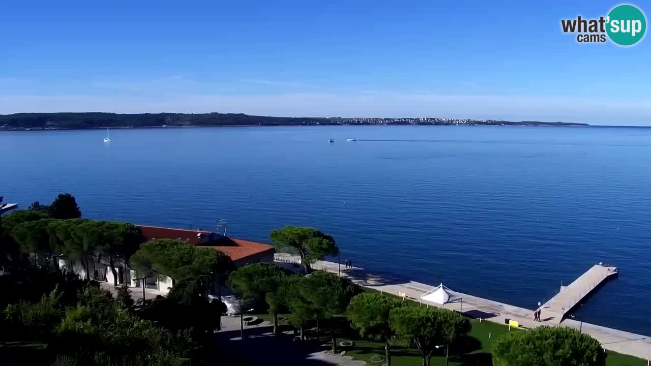 Live cam Portorož  Panorama