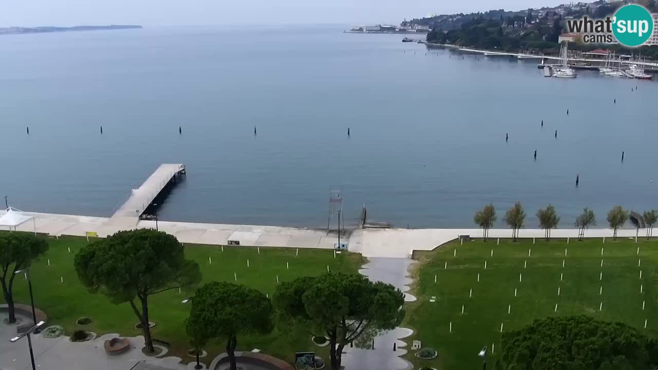 Kamera v živo Portorož – Panorama