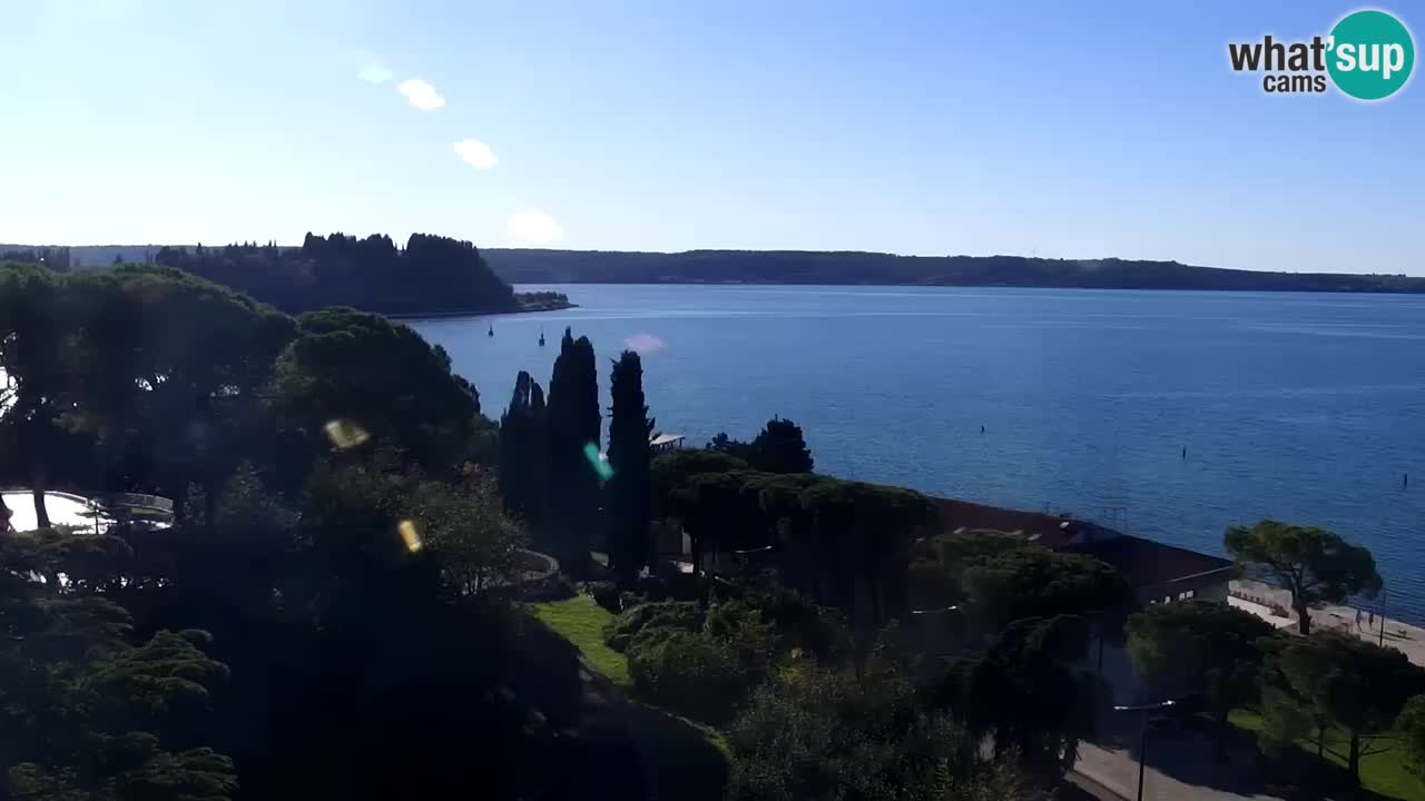 Web Kamera Portorož – Panorama