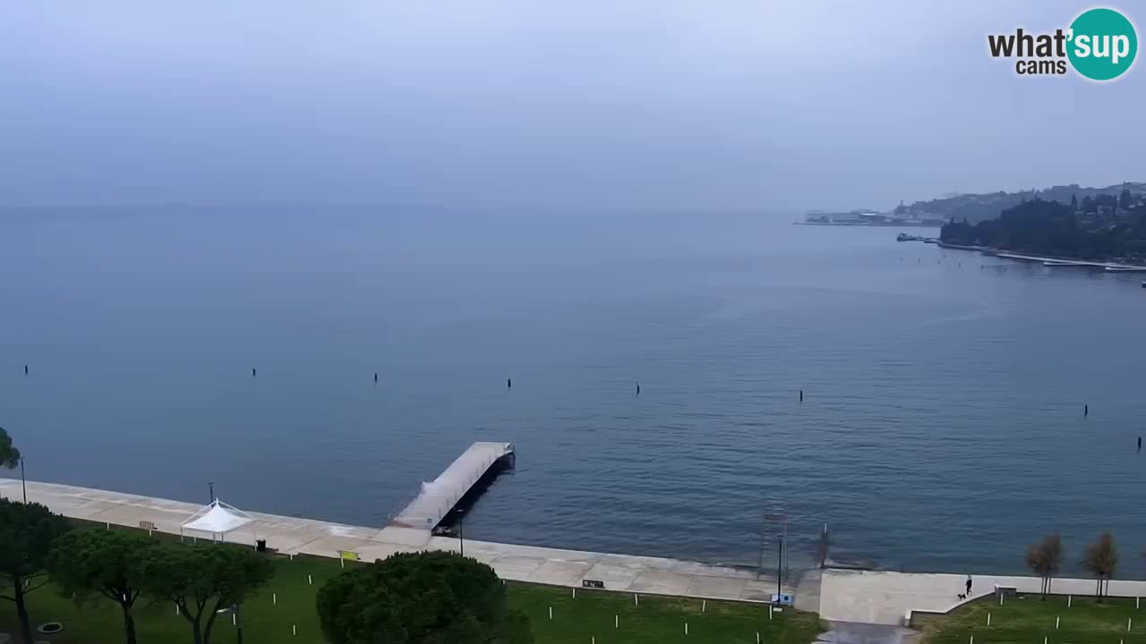 Kamera v živo Portorož – Panorama