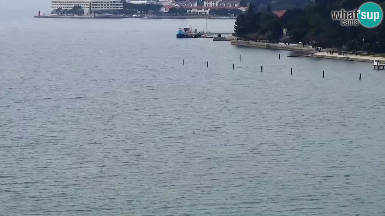 Live cam Portorož  Panorama