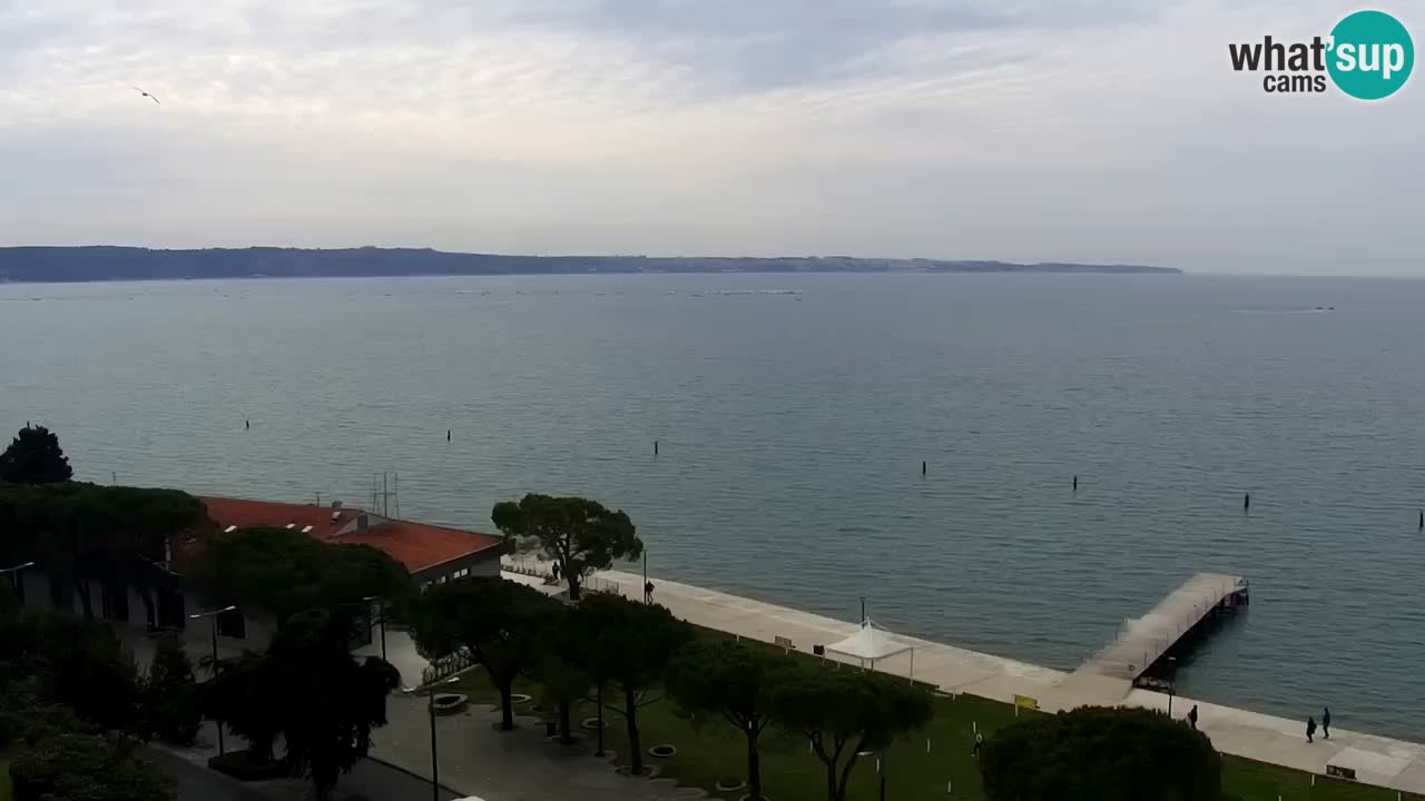 Webcam Portorož – Panorama