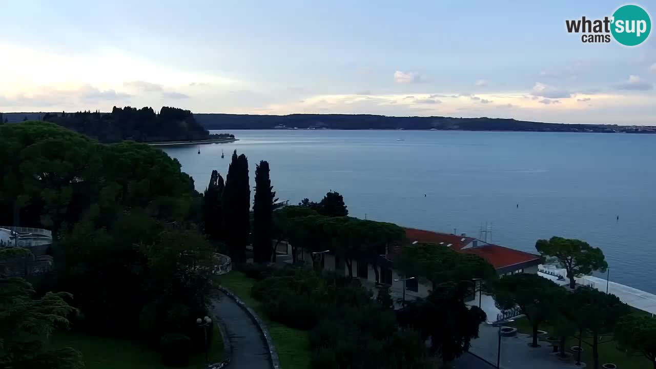 Web Kamera Portorož – Panorama