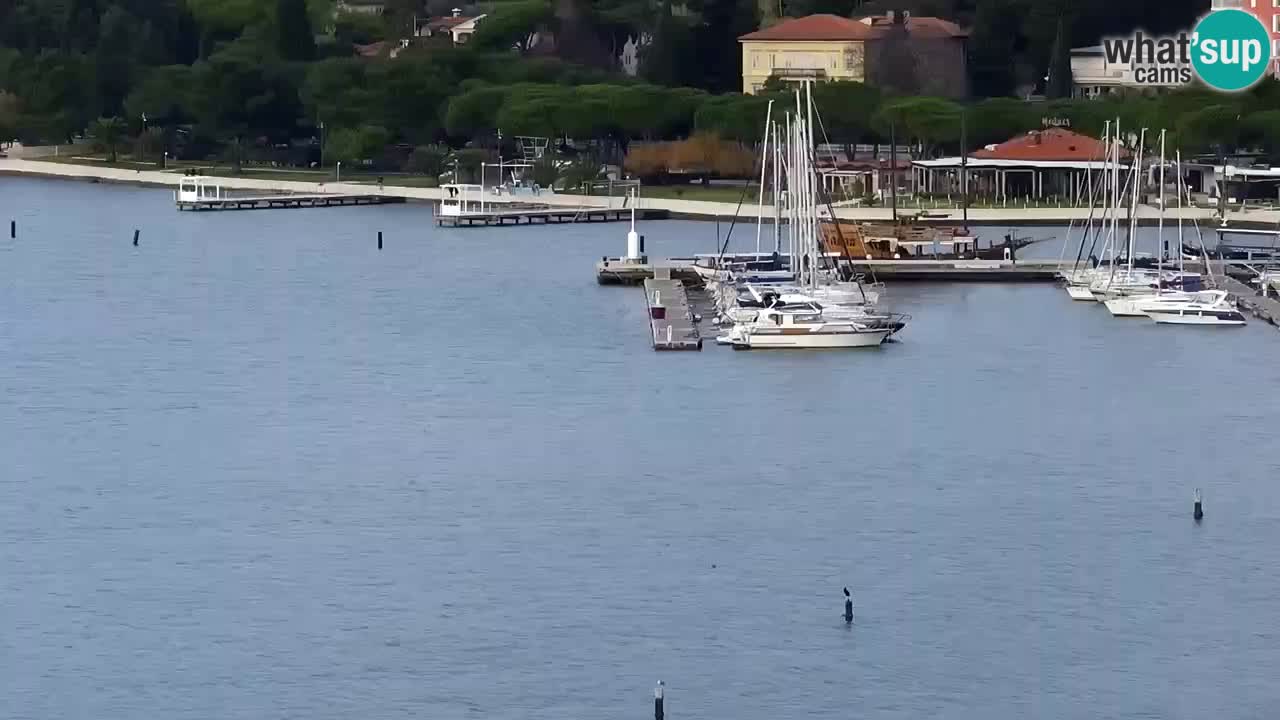 Webcam Portorož – Panorama