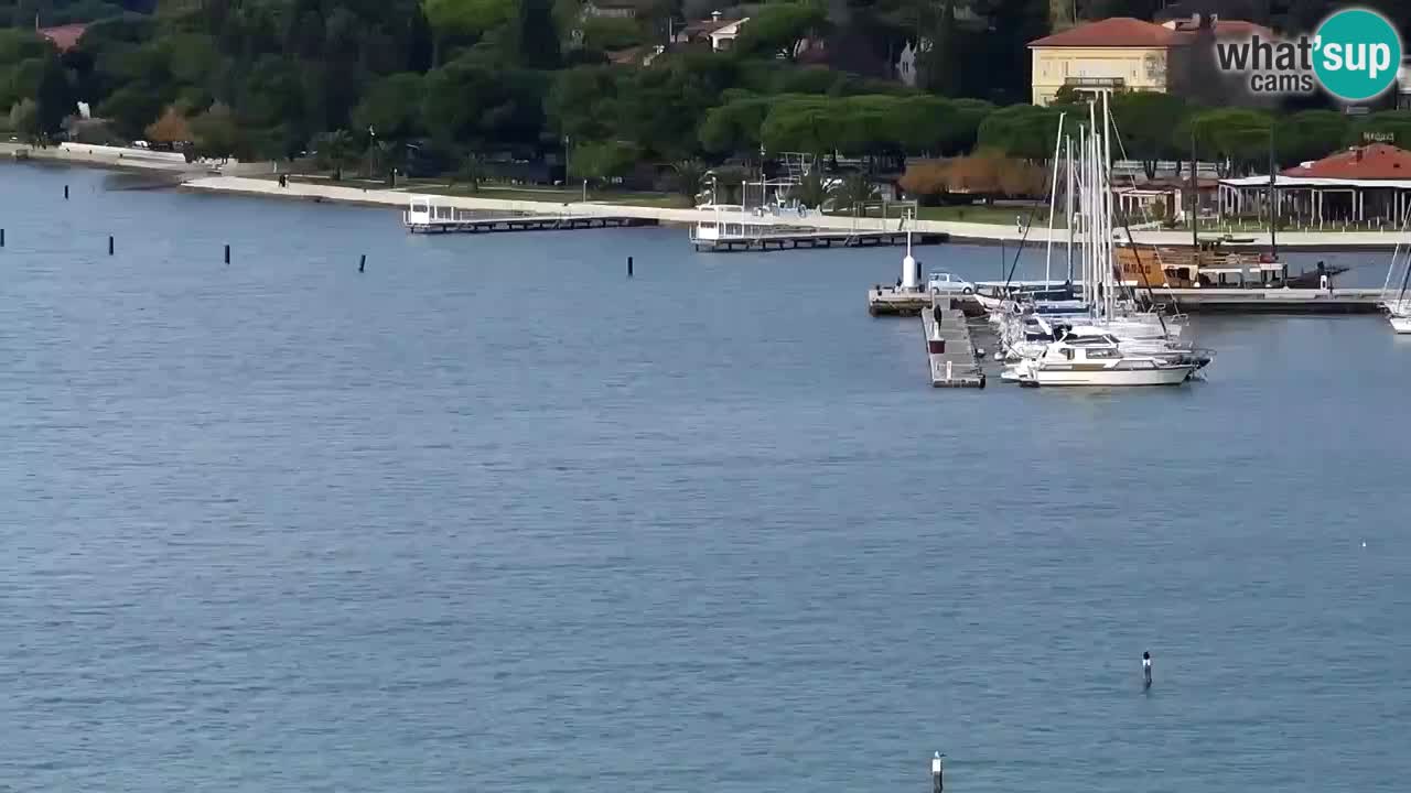 Kamera v živo Portorož – Panorama